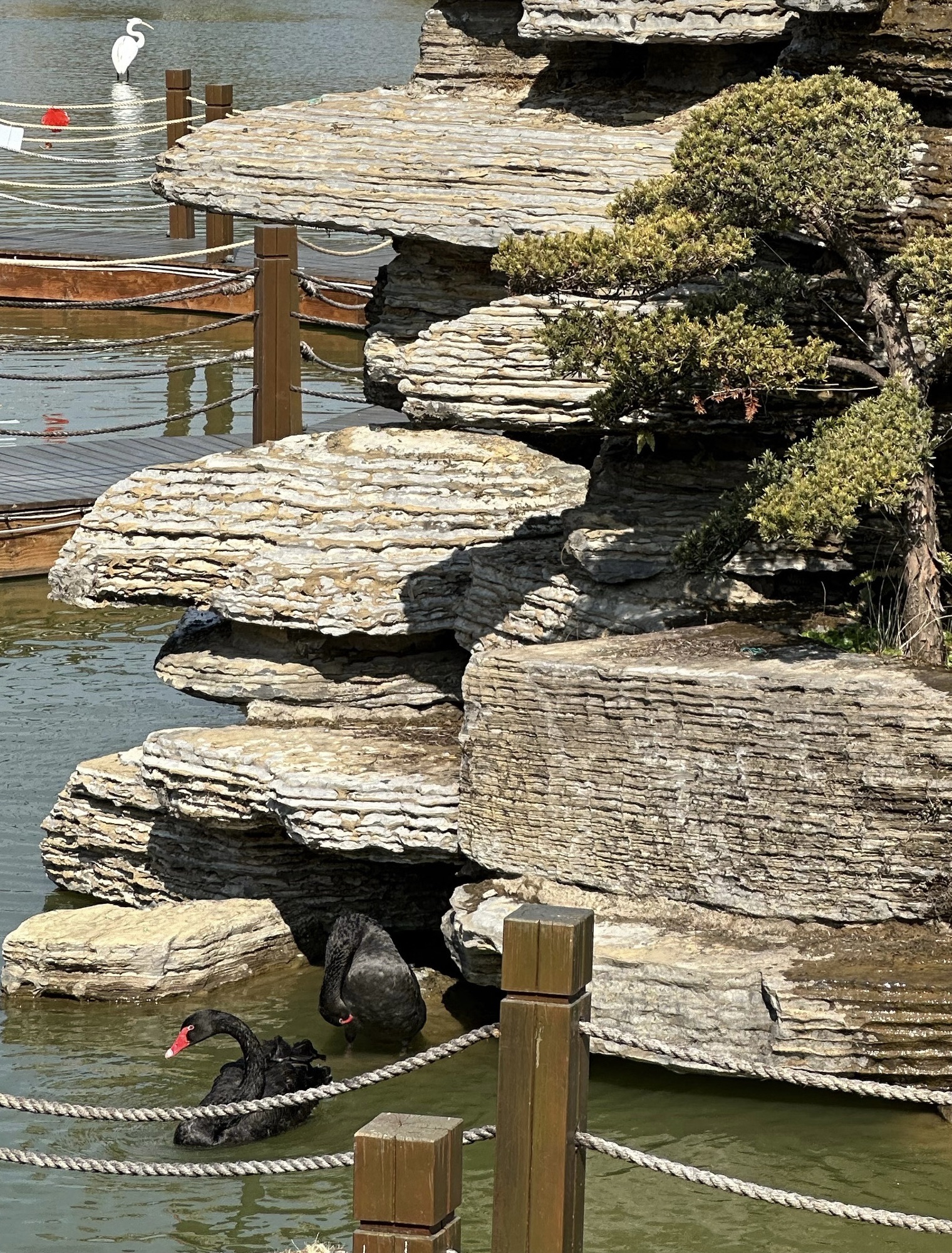 铁定溜溜旅行图片 3