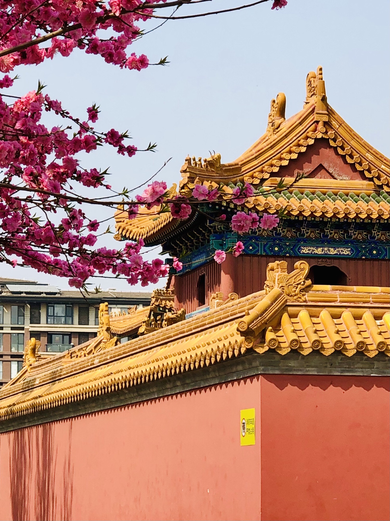 德寿寺公园旅行图片 1