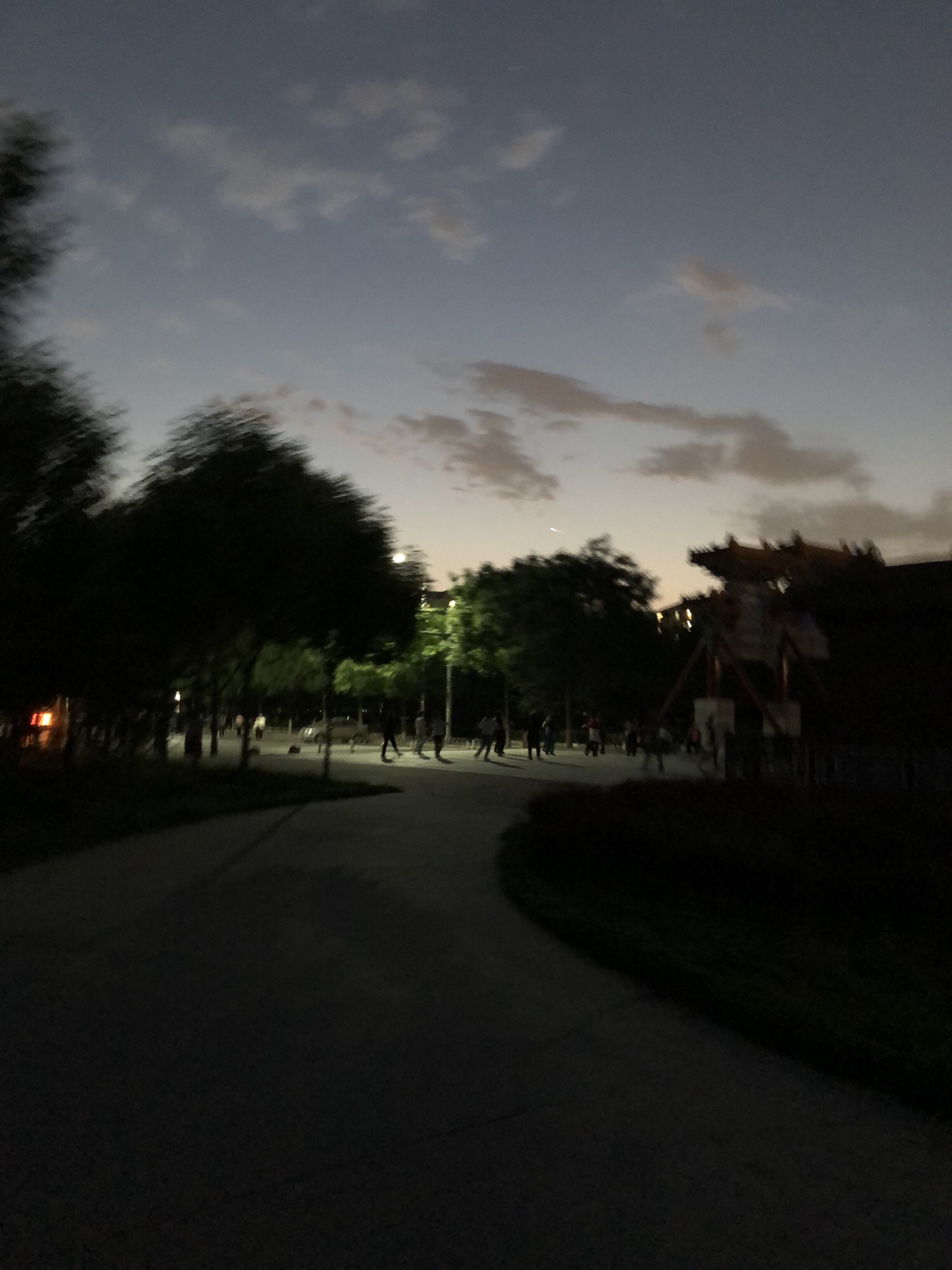 德寿寺公园旅行图片 3