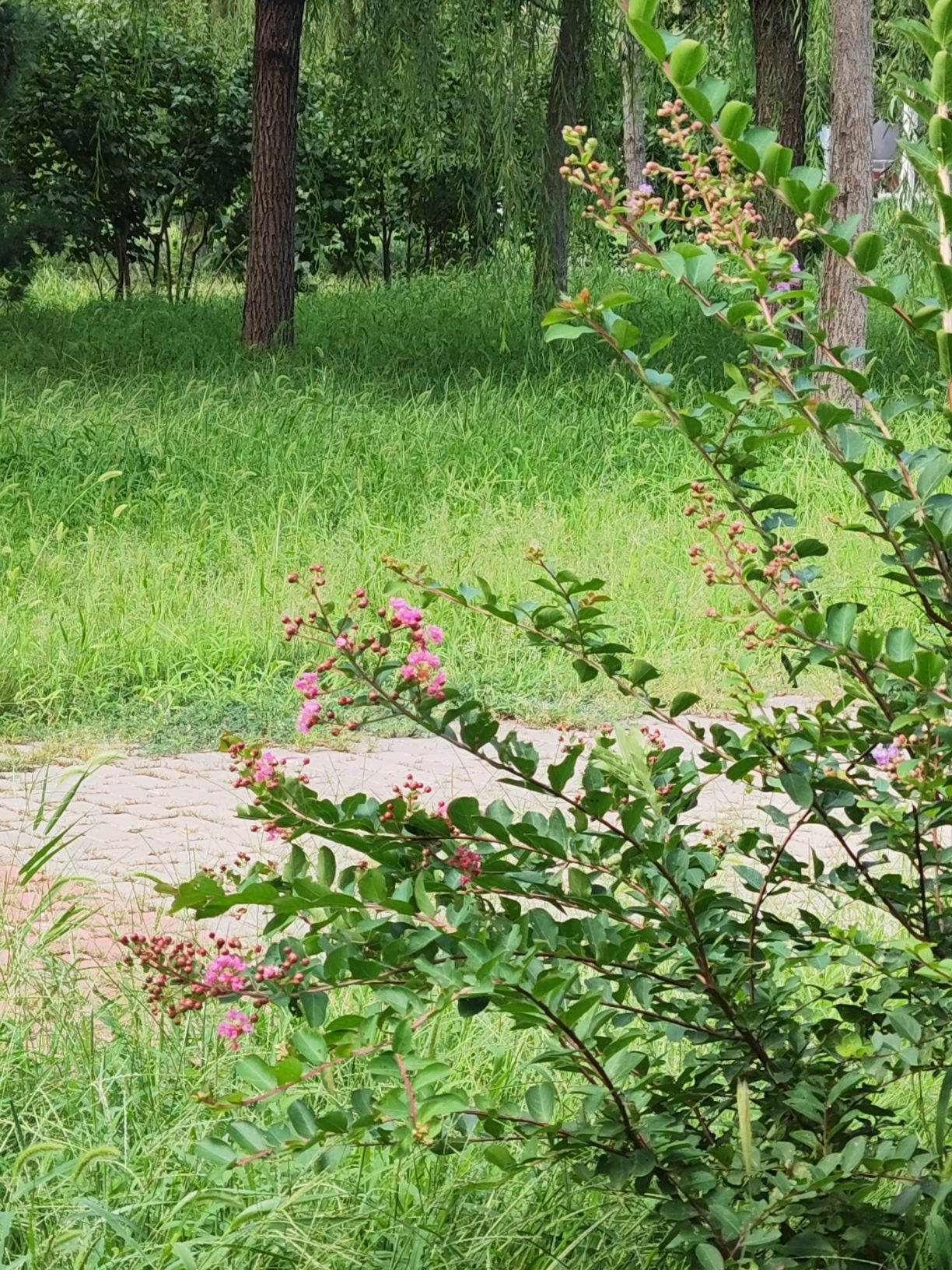 东堡公园旅行图片 3