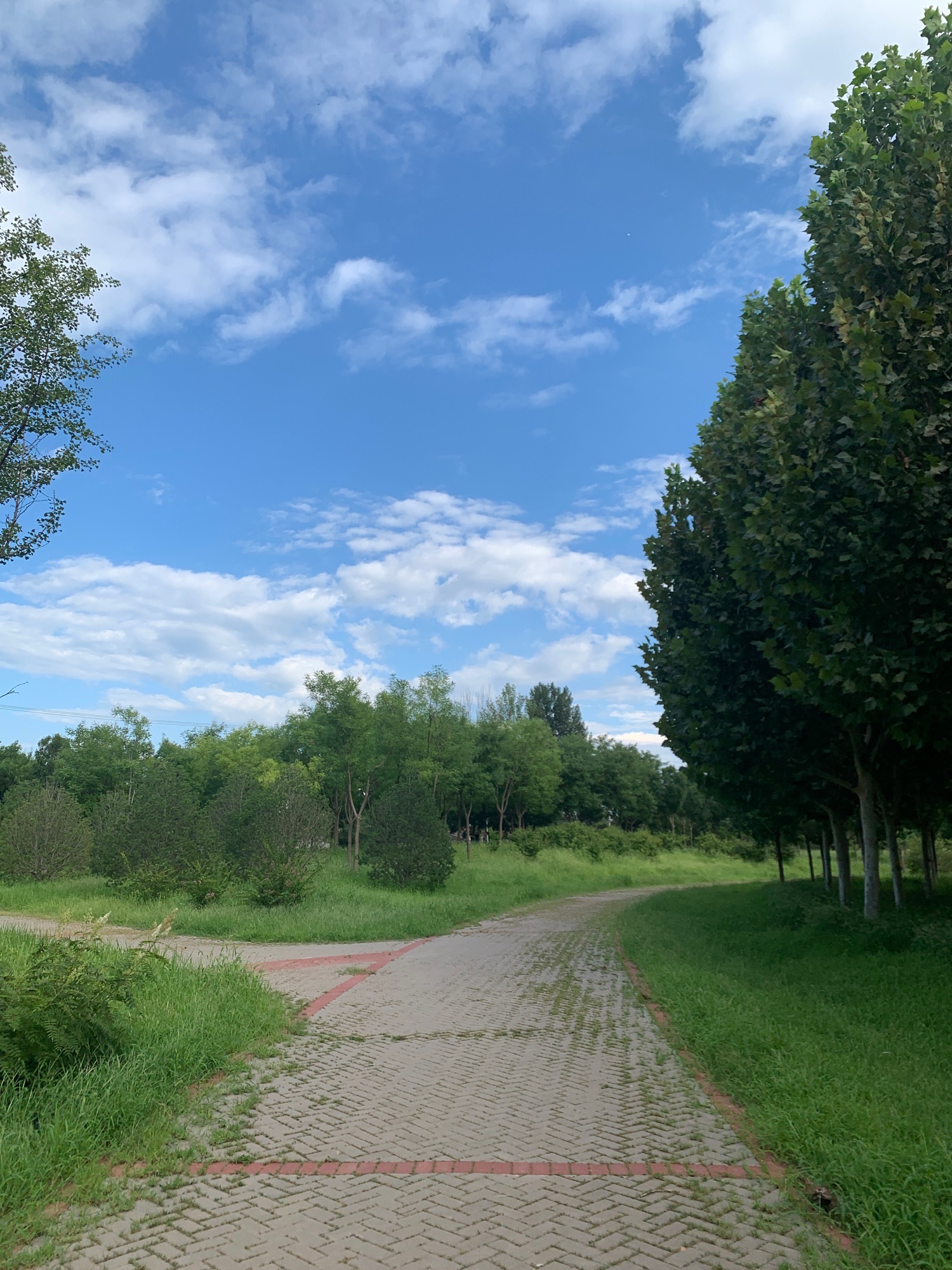 东堡公园旅行图片 3