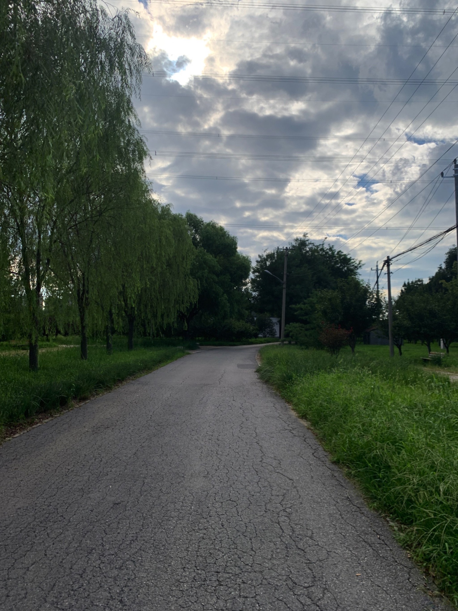 东堡公园旅行图片 2