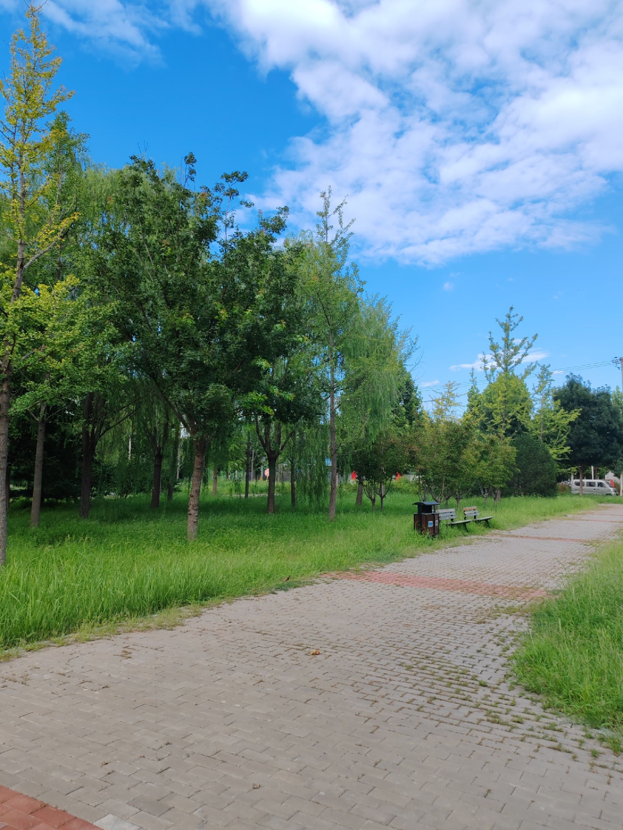 东堡公园旅行图片 1