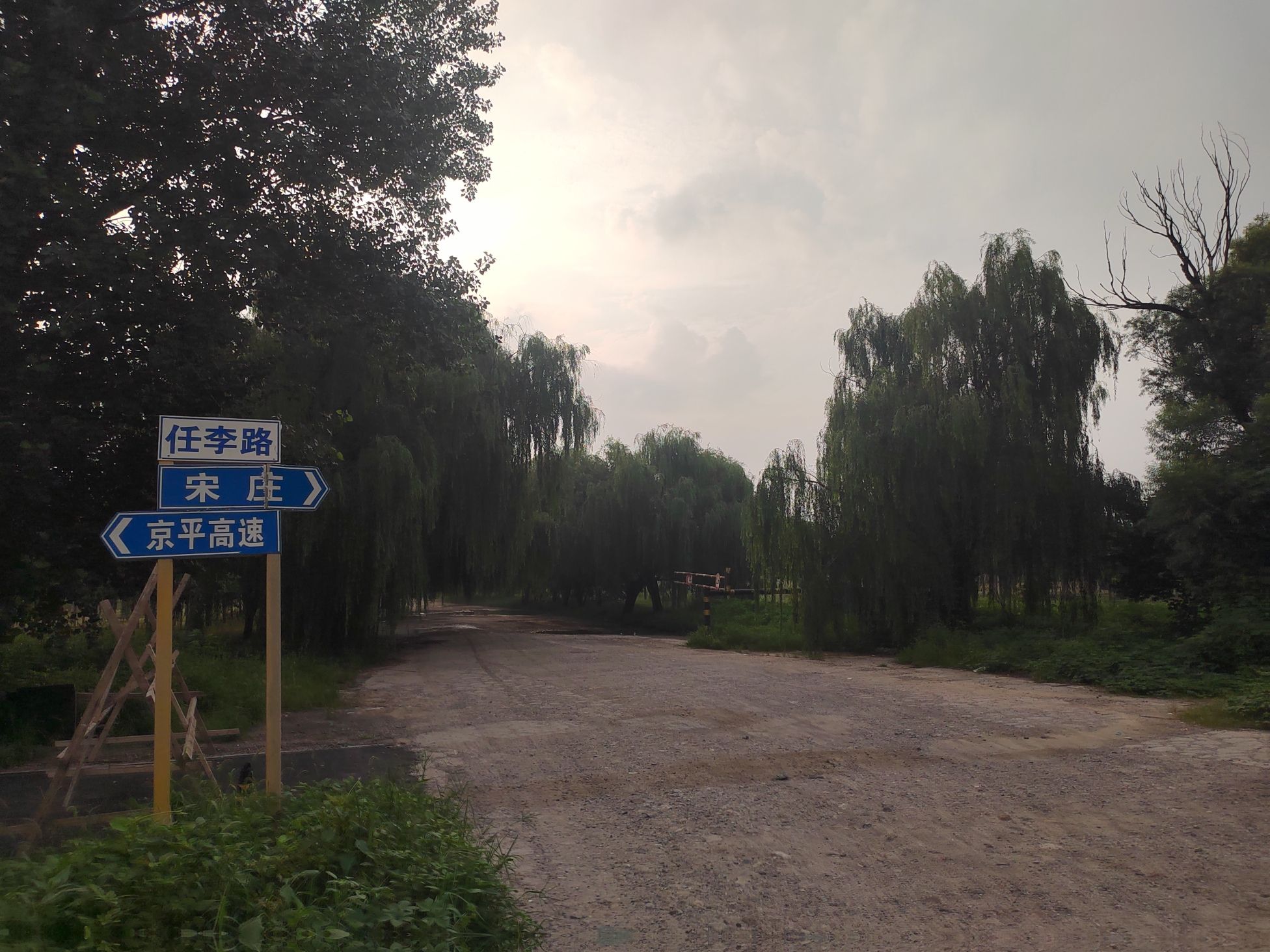 小杨公园旅行图片