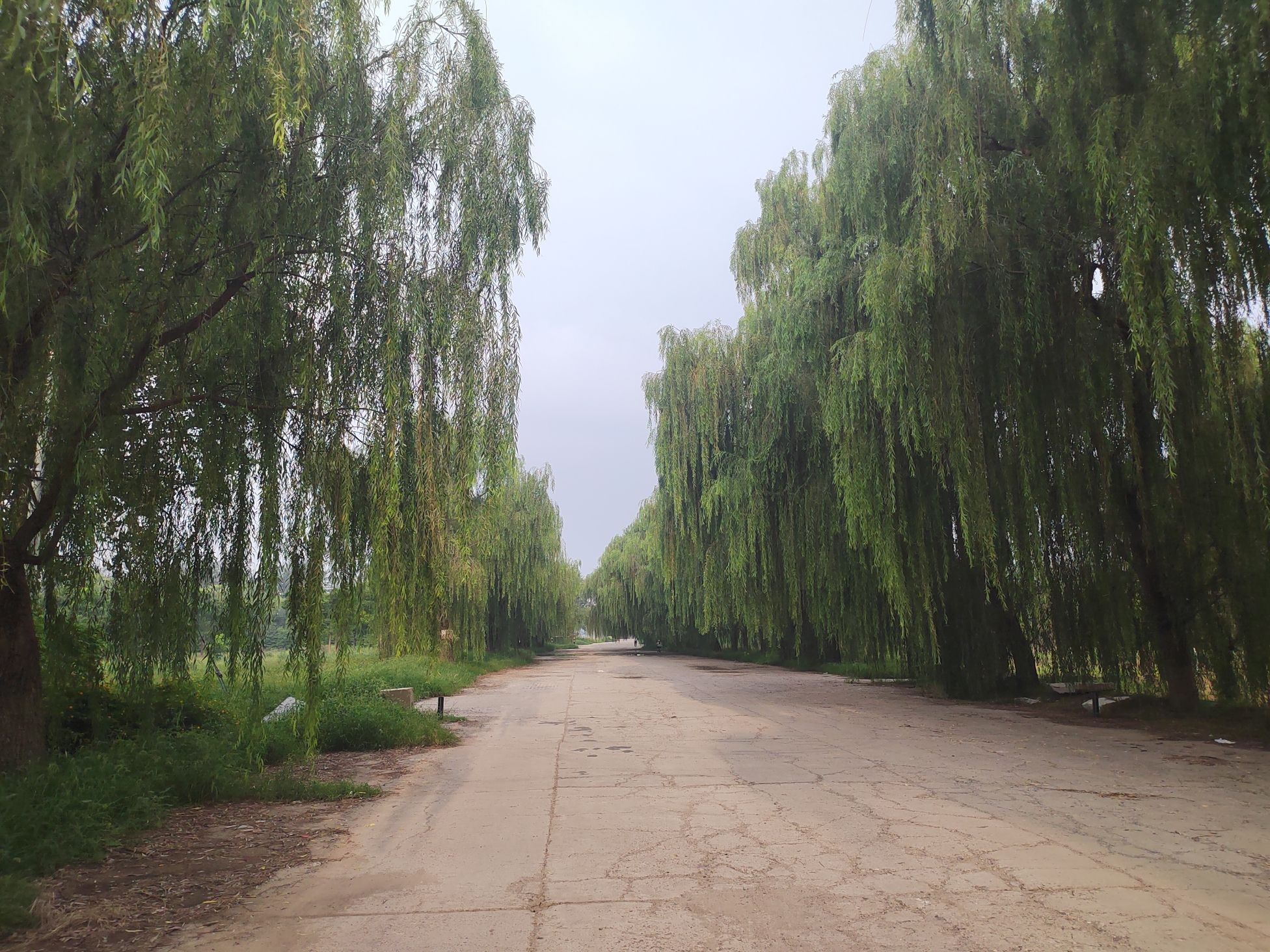 小杨公园旅行图片 2
