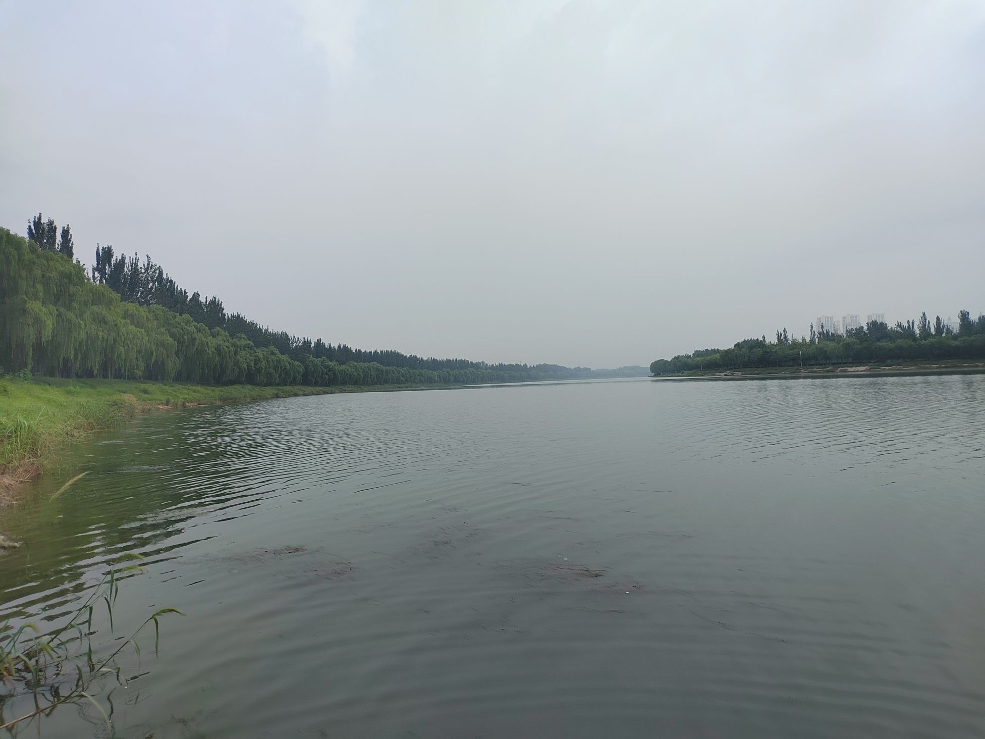 小杨公园旅行图片 3