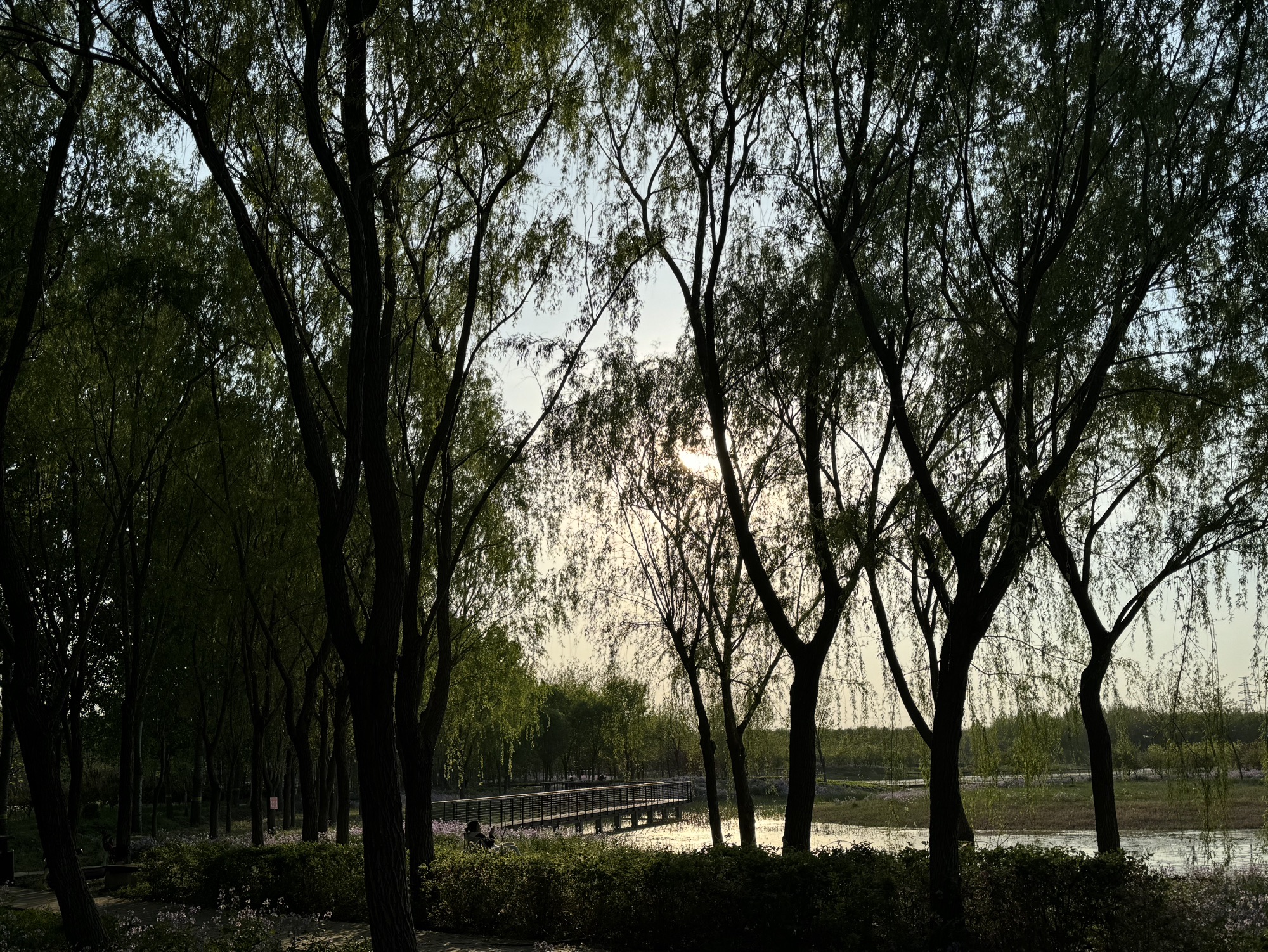 马驹桥湿地公园2期旅行图片 3