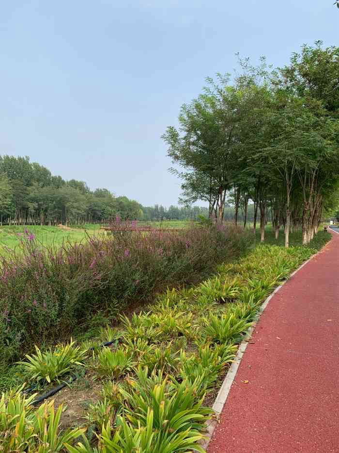 马驹桥湿地公园2期旅行图片 2