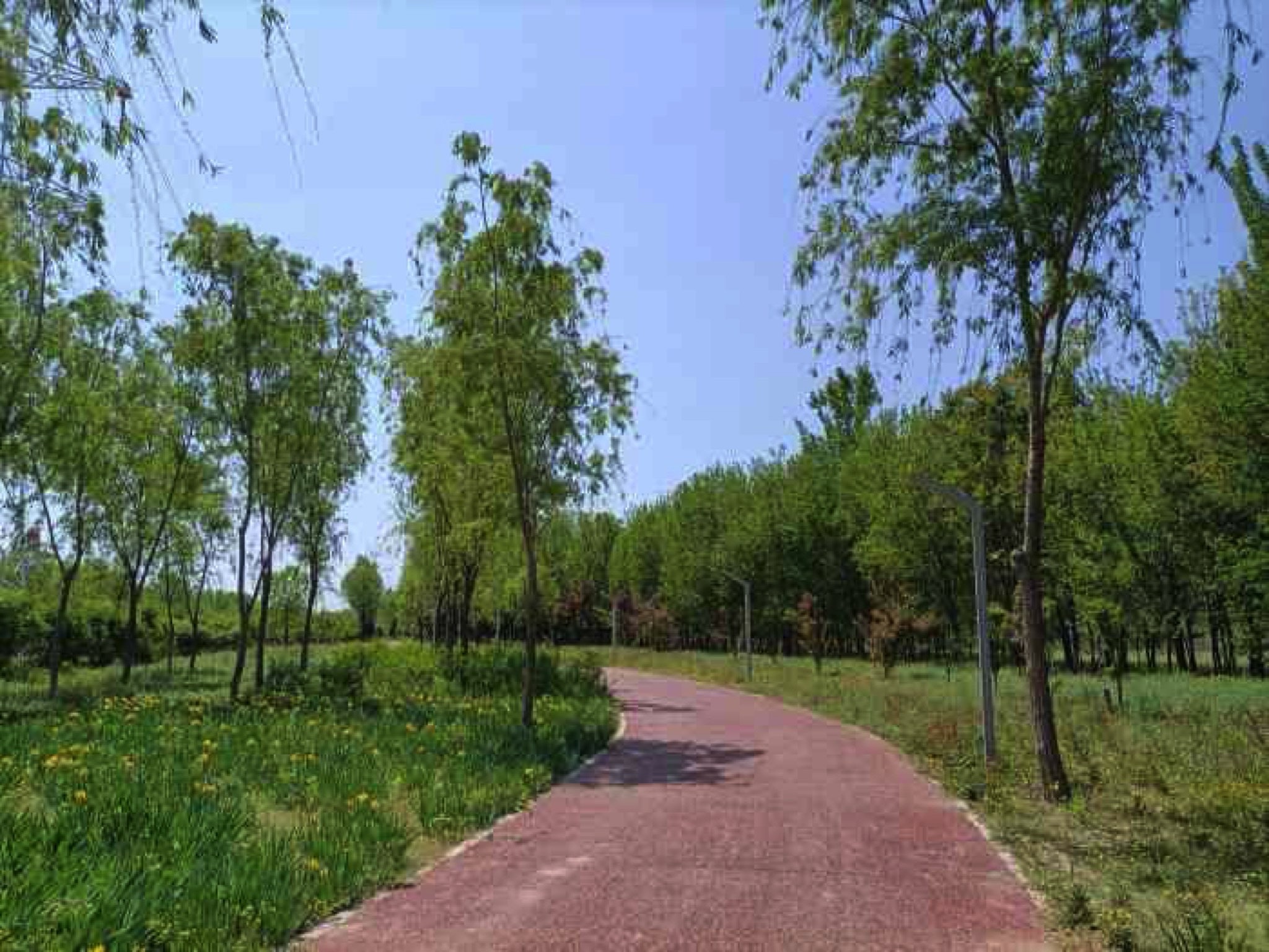马驹桥湿地公园2期旅行图片 1