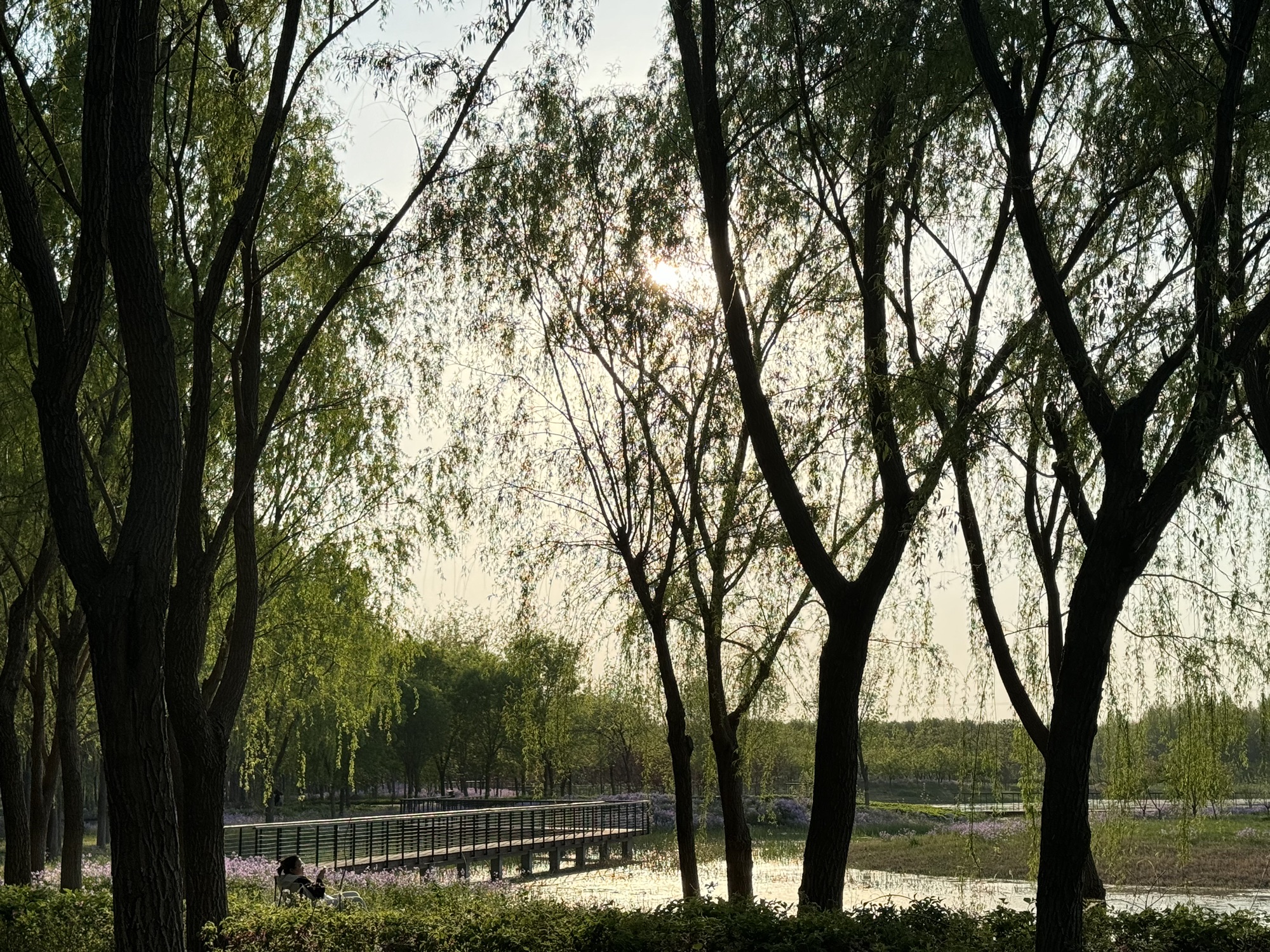 马驹桥湿地公园2期旅行图片 2