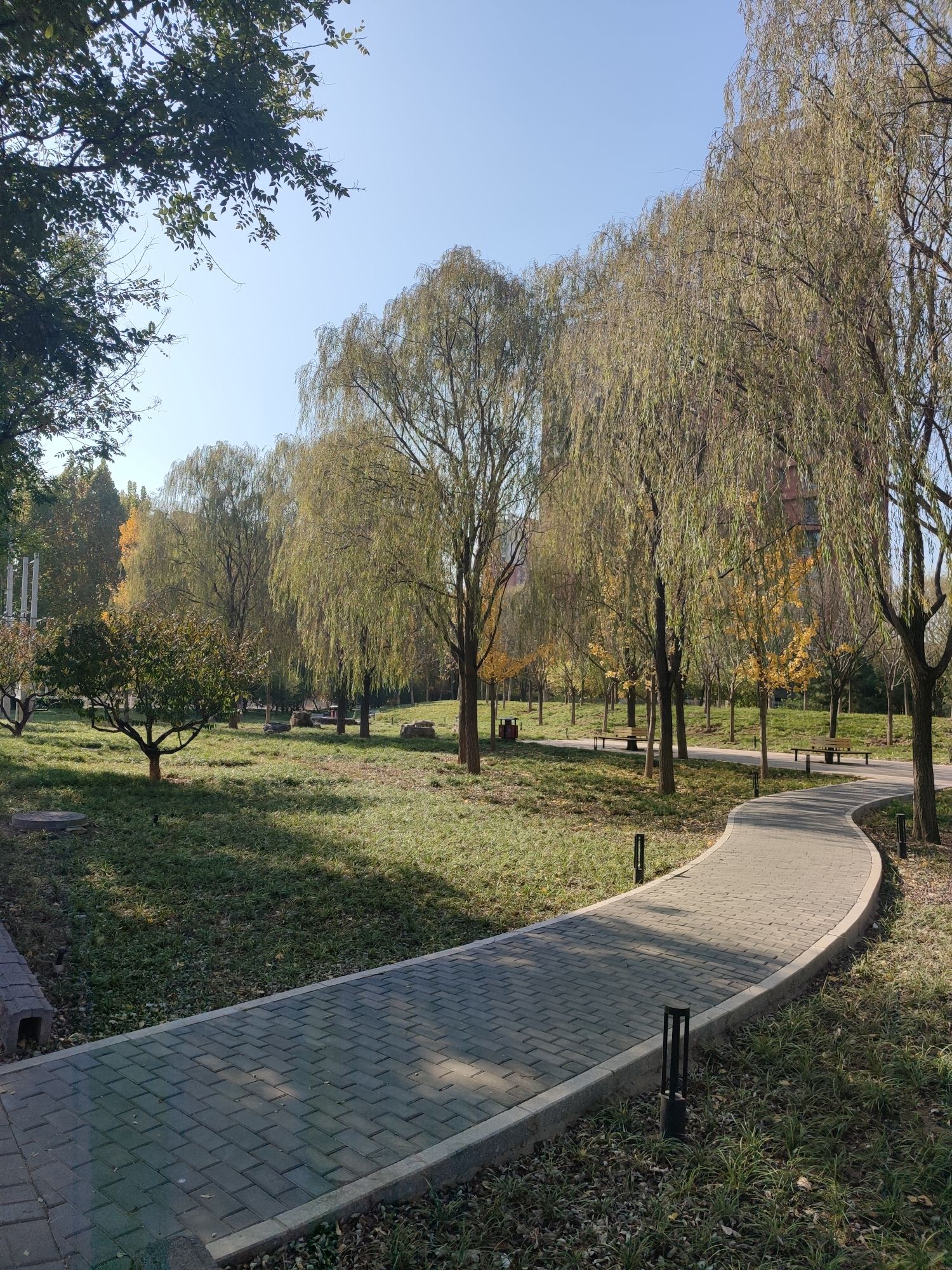 新地家园城市森林公园旅行图片 1