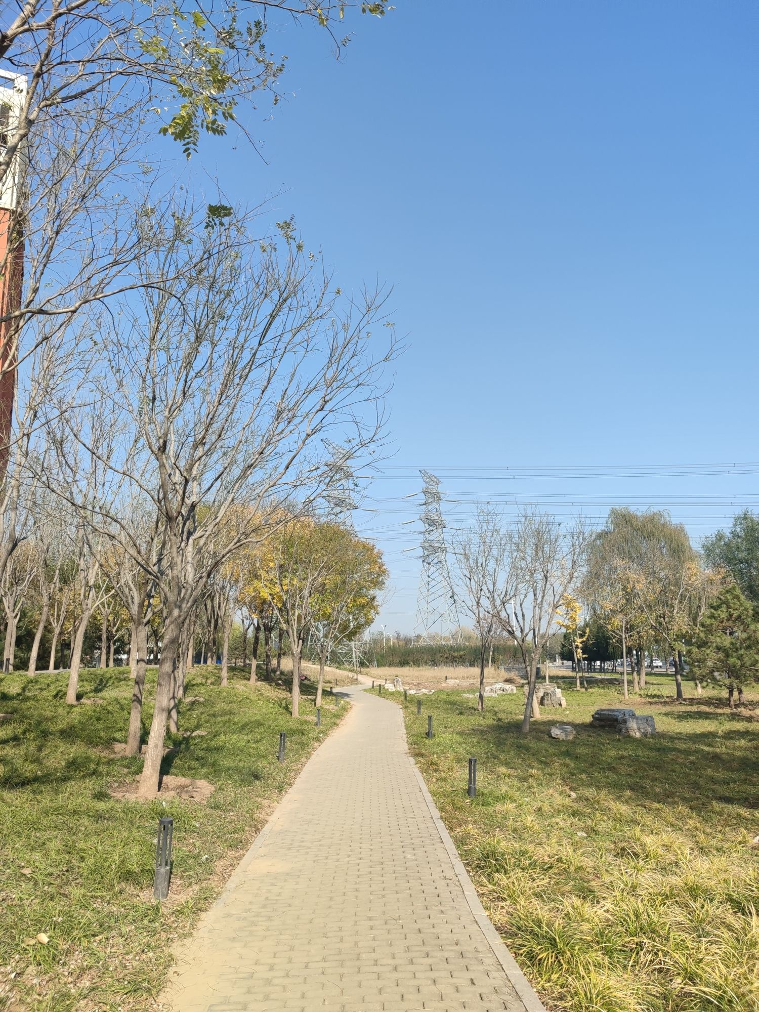 新地家园城市森林公园旅行图片 2