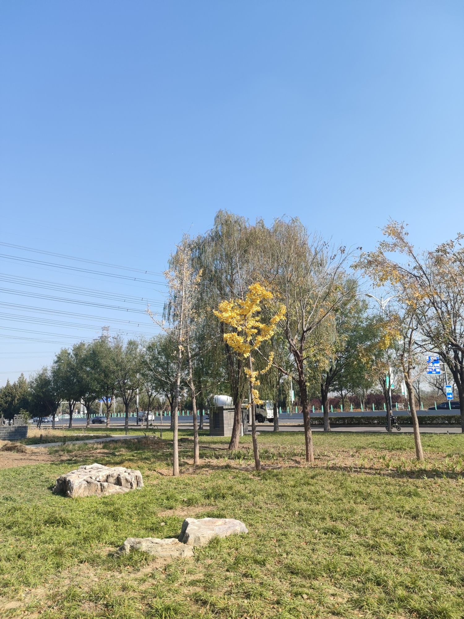 新地家园城市森林公园旅行图片 3