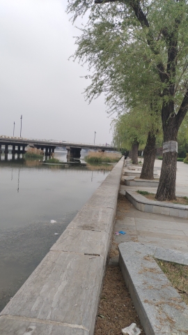 曲阜市植物园旅行图片 1