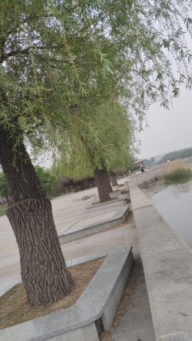 曲阜市植物园旅行图片 2