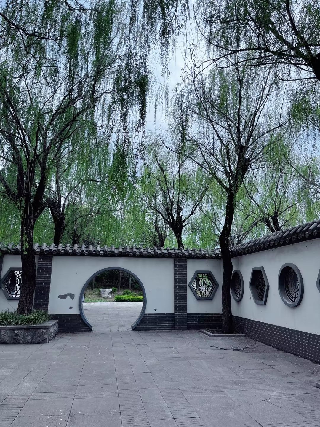 曲阜市植物园旅行图片 1