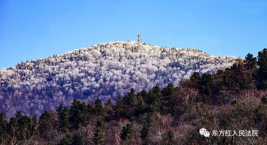 青山林场神顶峰旅行图片 1