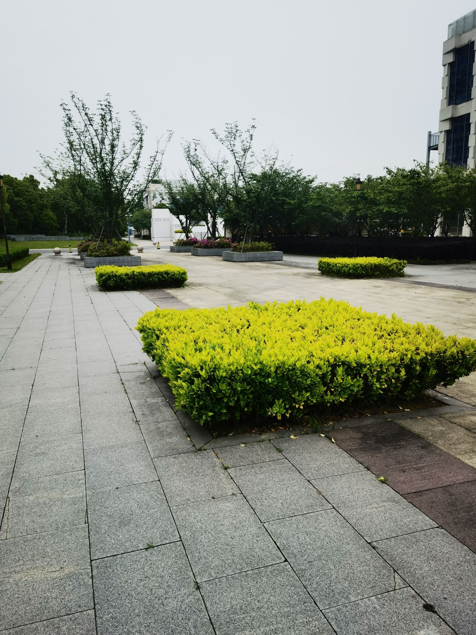 澹台湖公园旅行图片 2