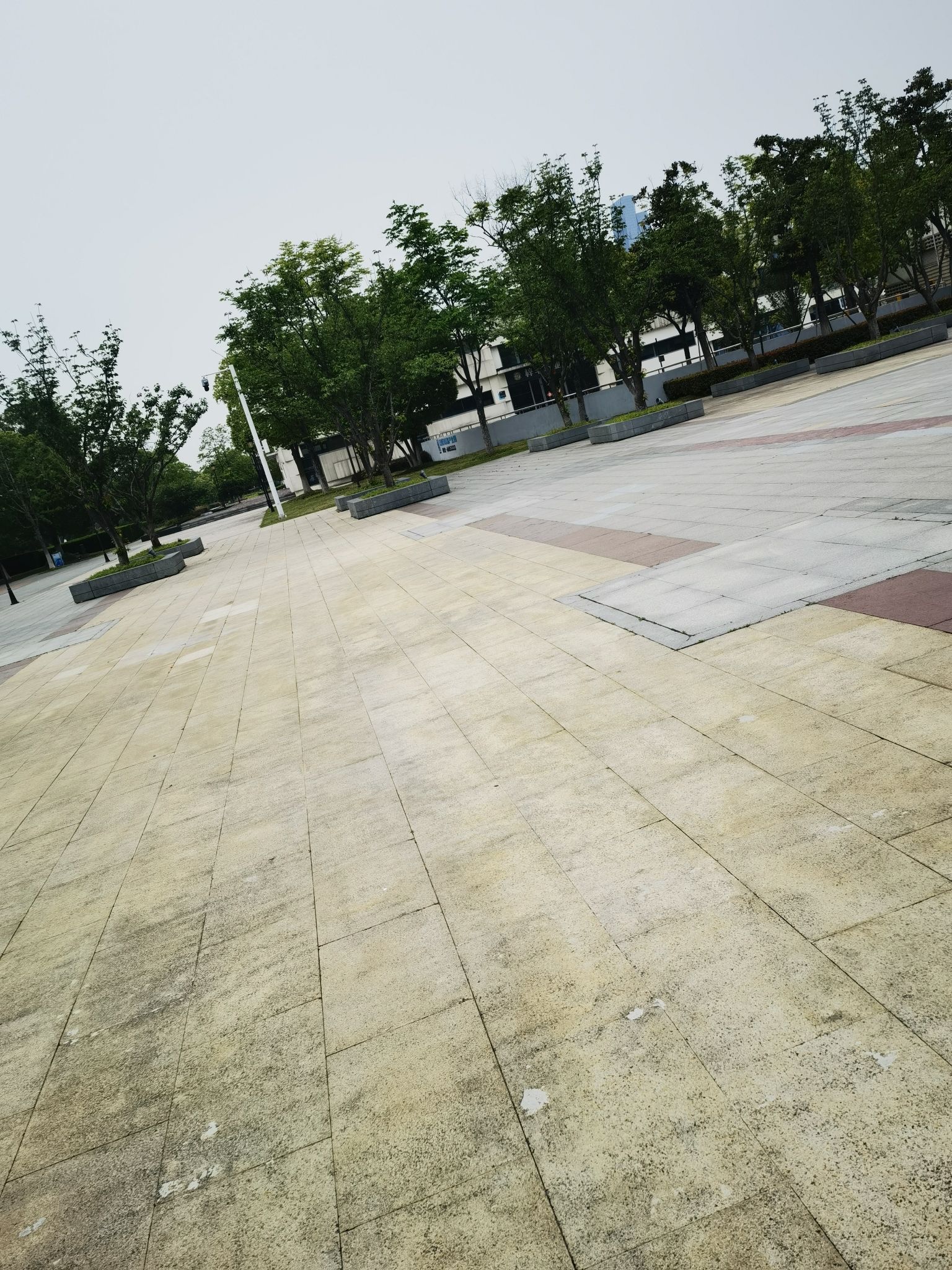 澹台湖公园旅行图片 3