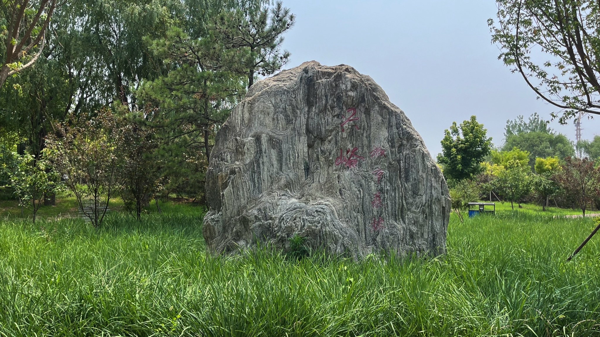 兴峪城市森林公园旅行图片 2