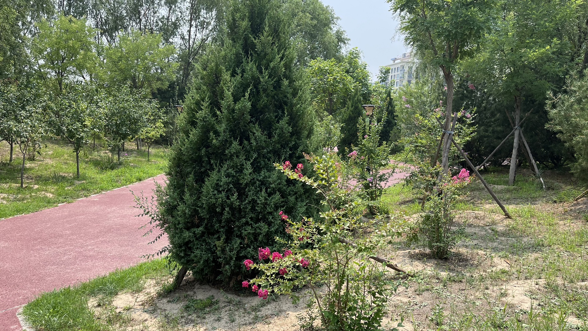 兴峪城市森林公园旅行图片 3