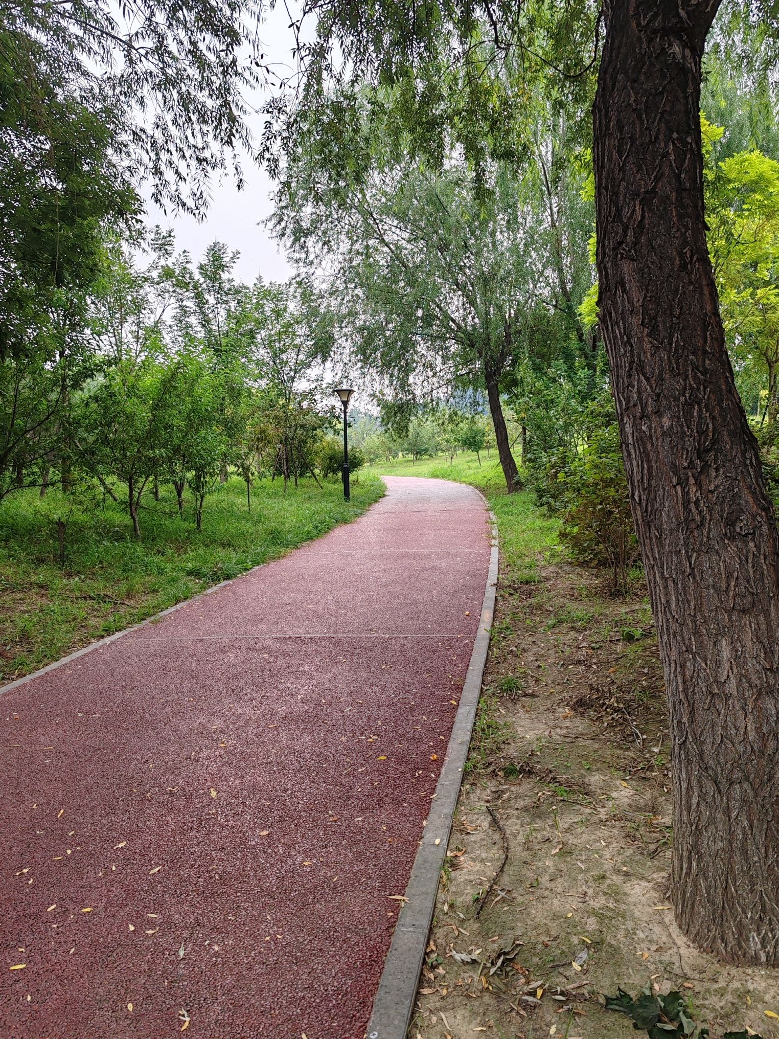 兴峪城市森林公园旅行图片 3