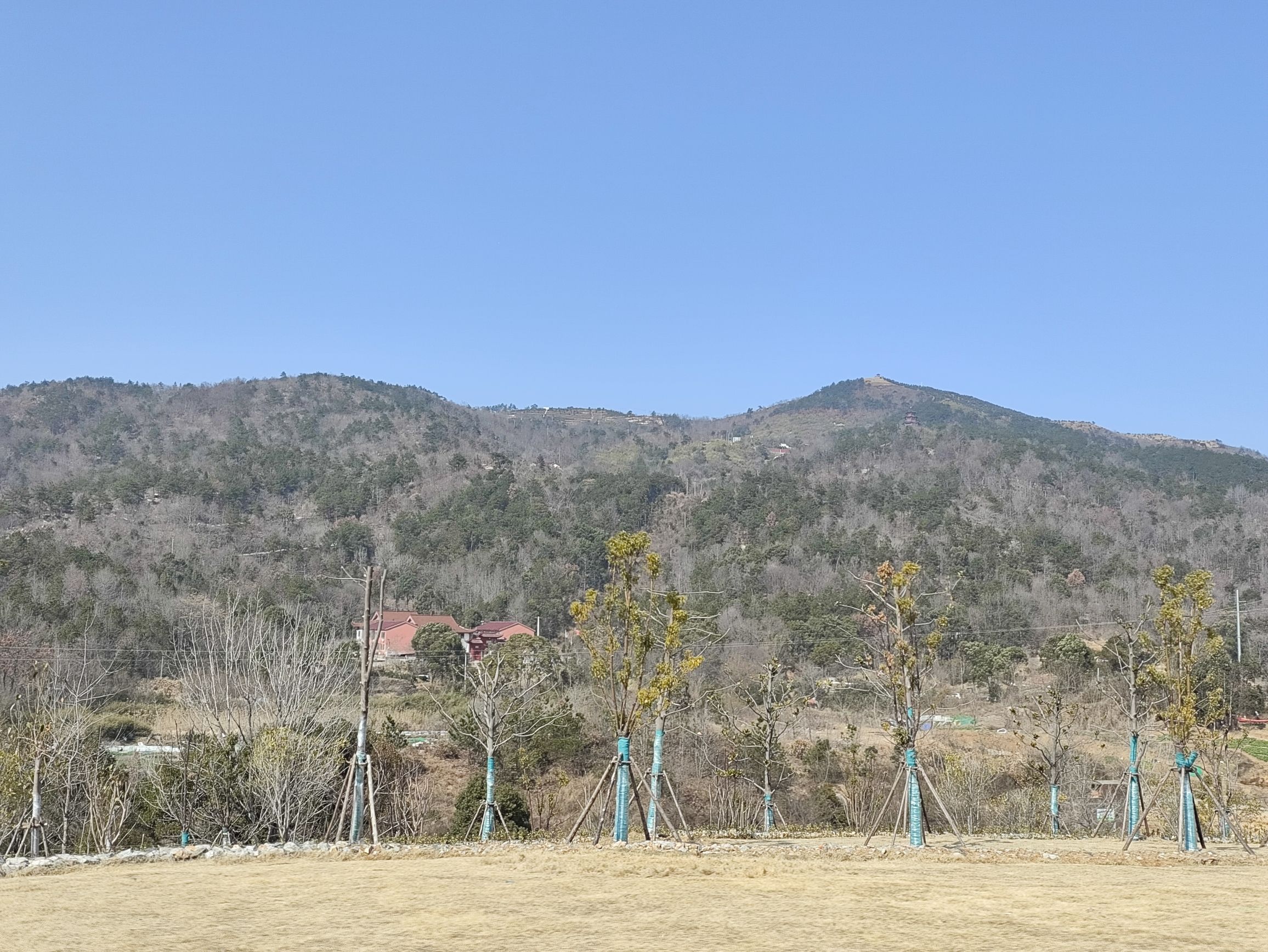 投子山城市休闲公园旅行图片 2