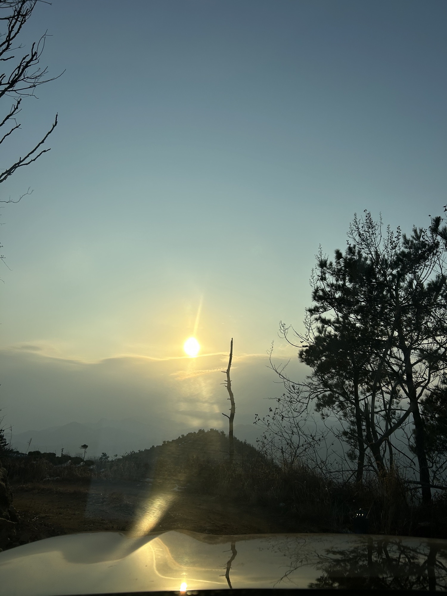 投子山城市休闲公园旅行图片 3