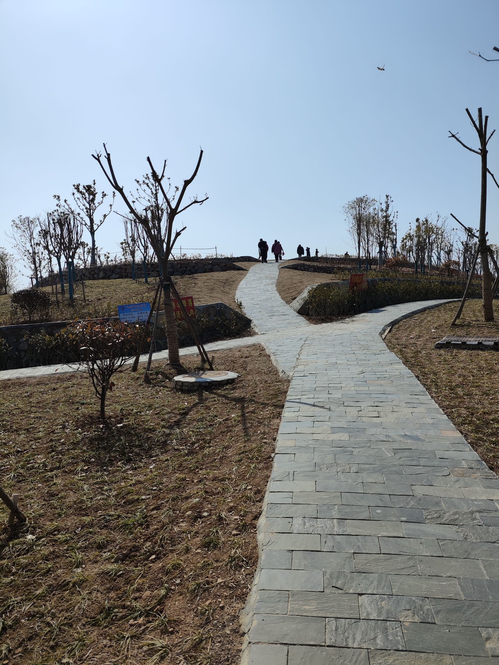 投子山城市休闲公园旅行图片 3