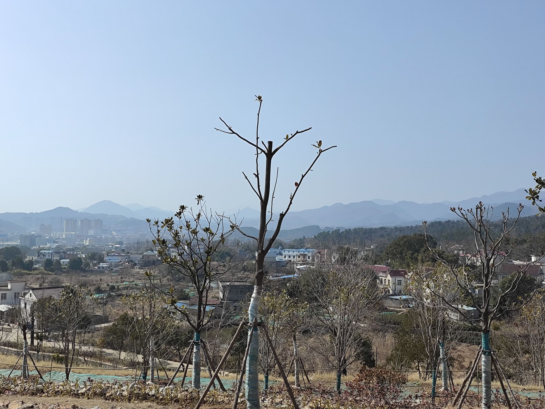 投子山城市休闲公园旅行图片 1
