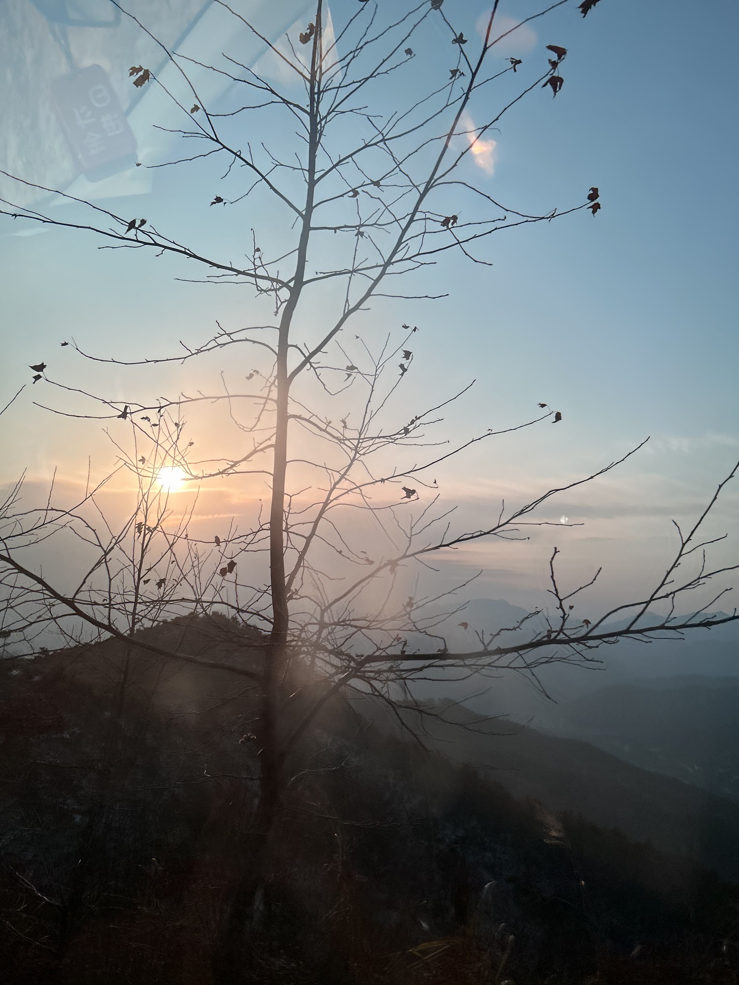 投子山城市休闲公园旅行图片 1