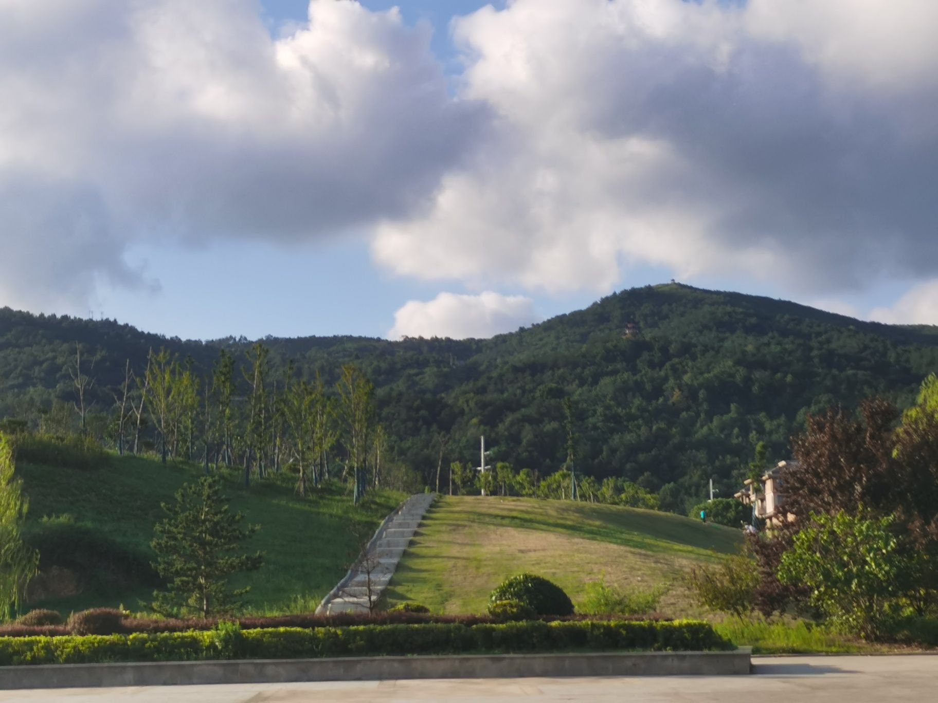 投子山城市休闲公园旅行图片 3