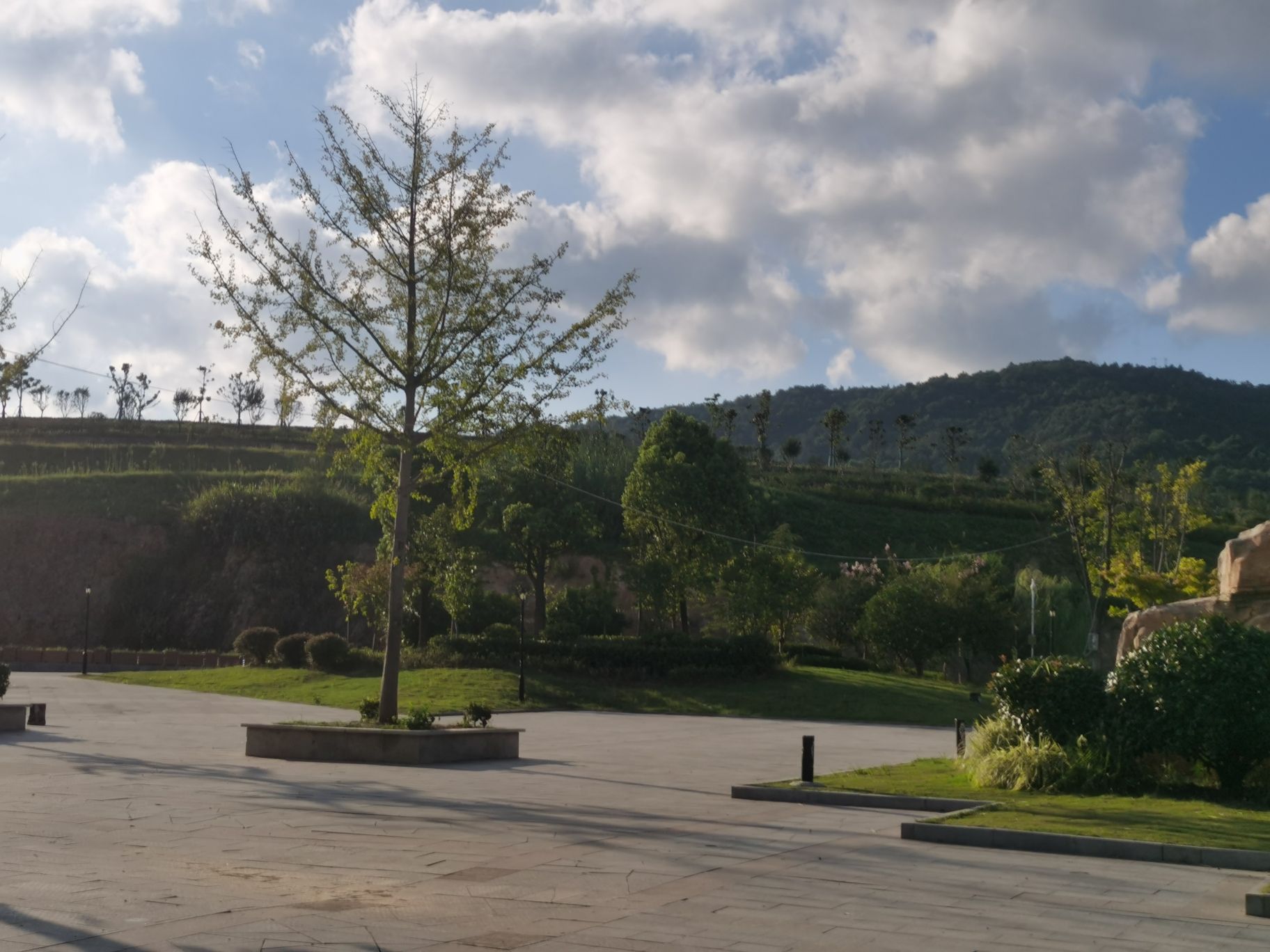 投子山城市休闲公园旅行图片 2