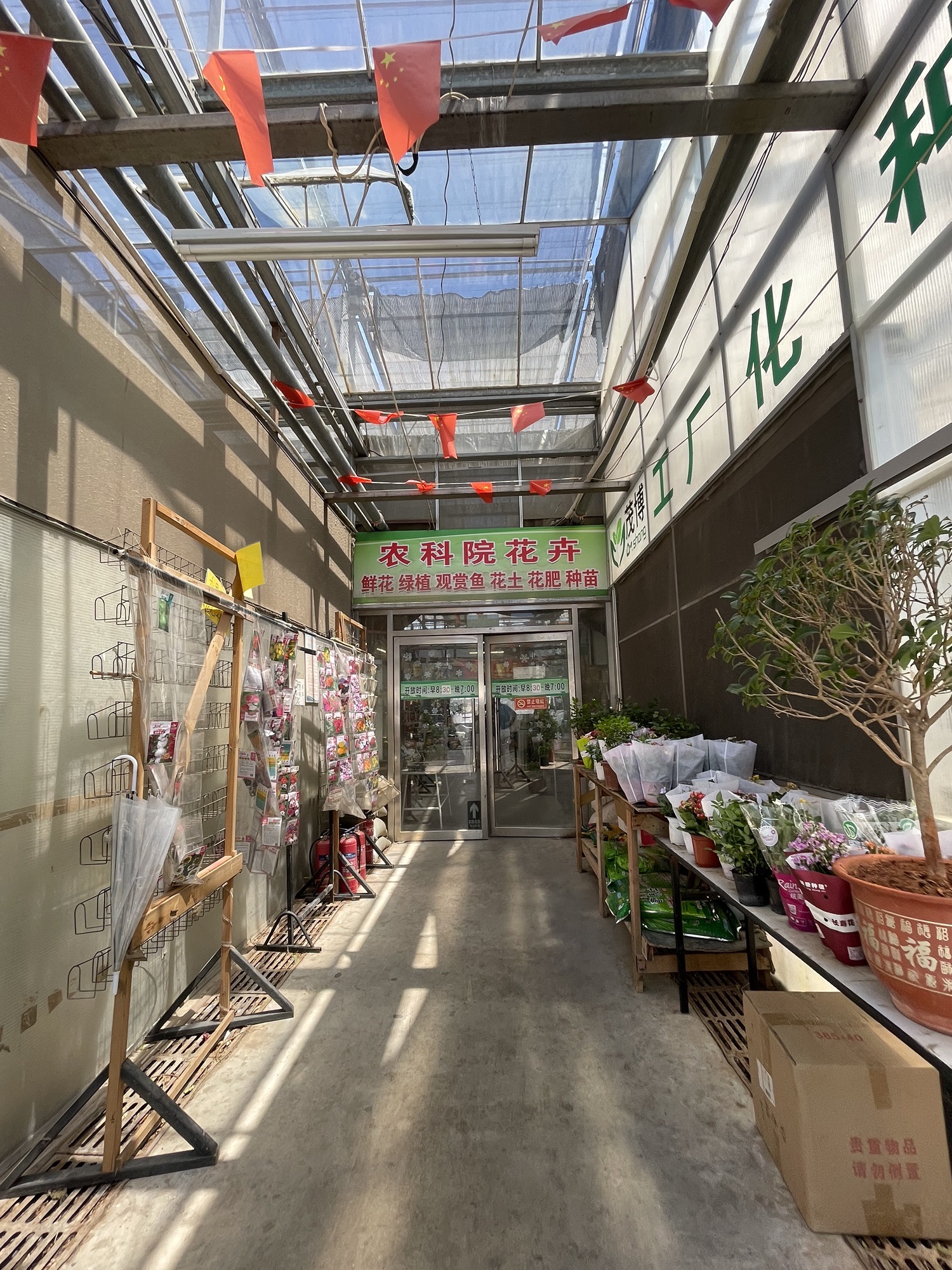 农科院花卉市场