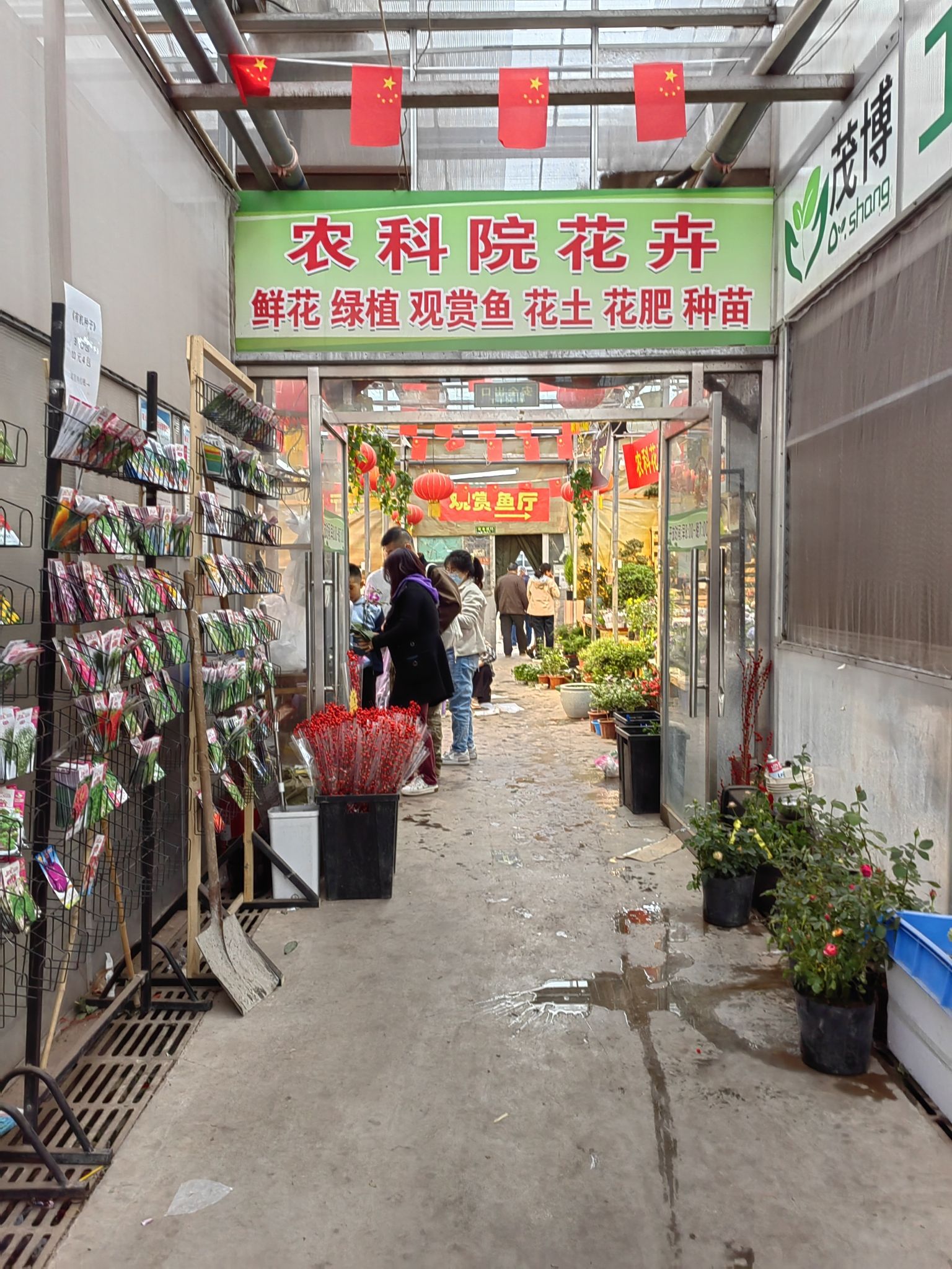 农科院花卉市场