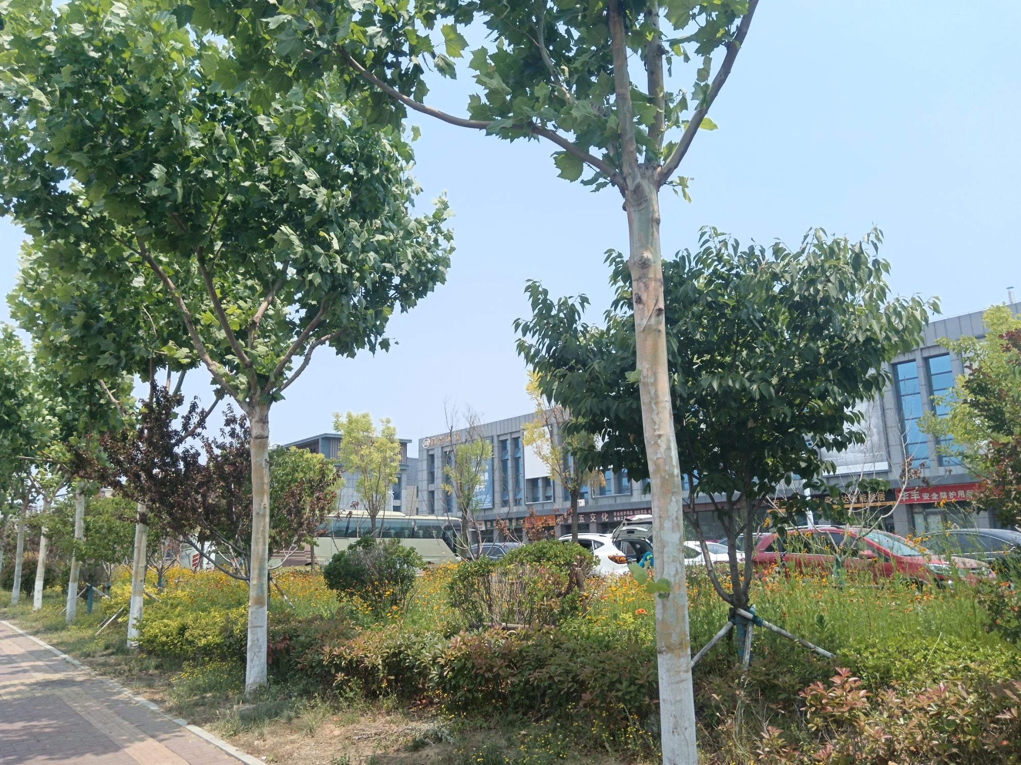 日照建安家博汇家居建材城