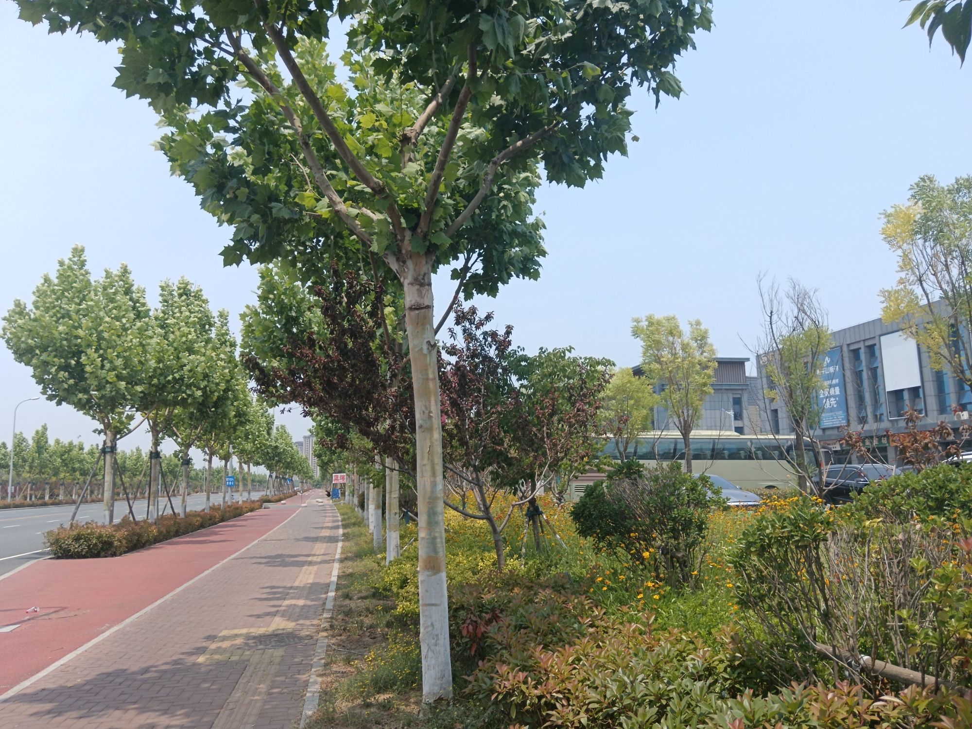日照建安家博汇家居建材城