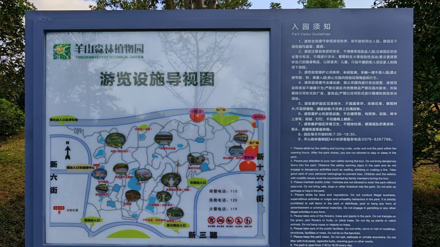 羊山森林植物园景点图片