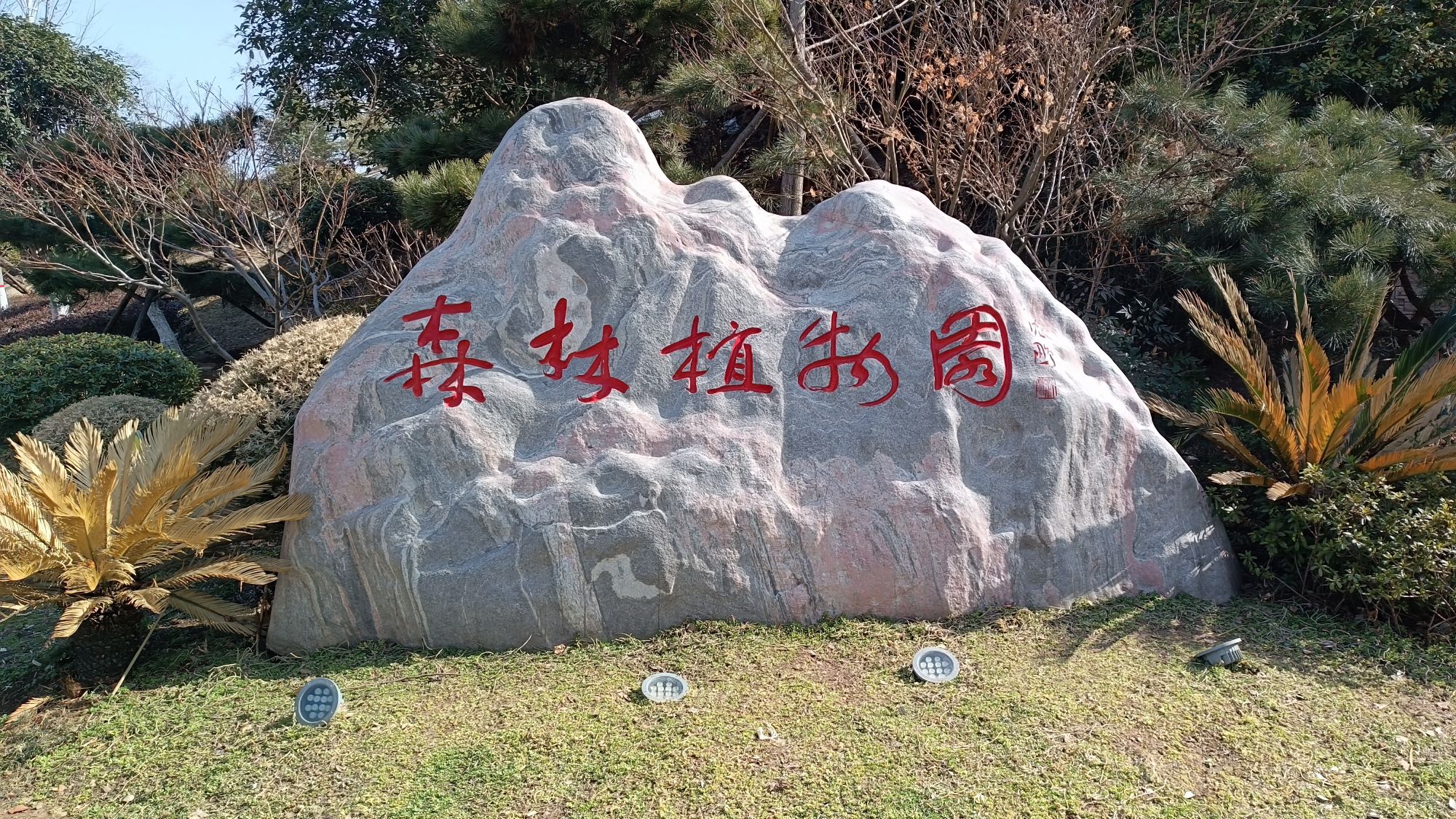 羊山森林植物园旅行图片 1