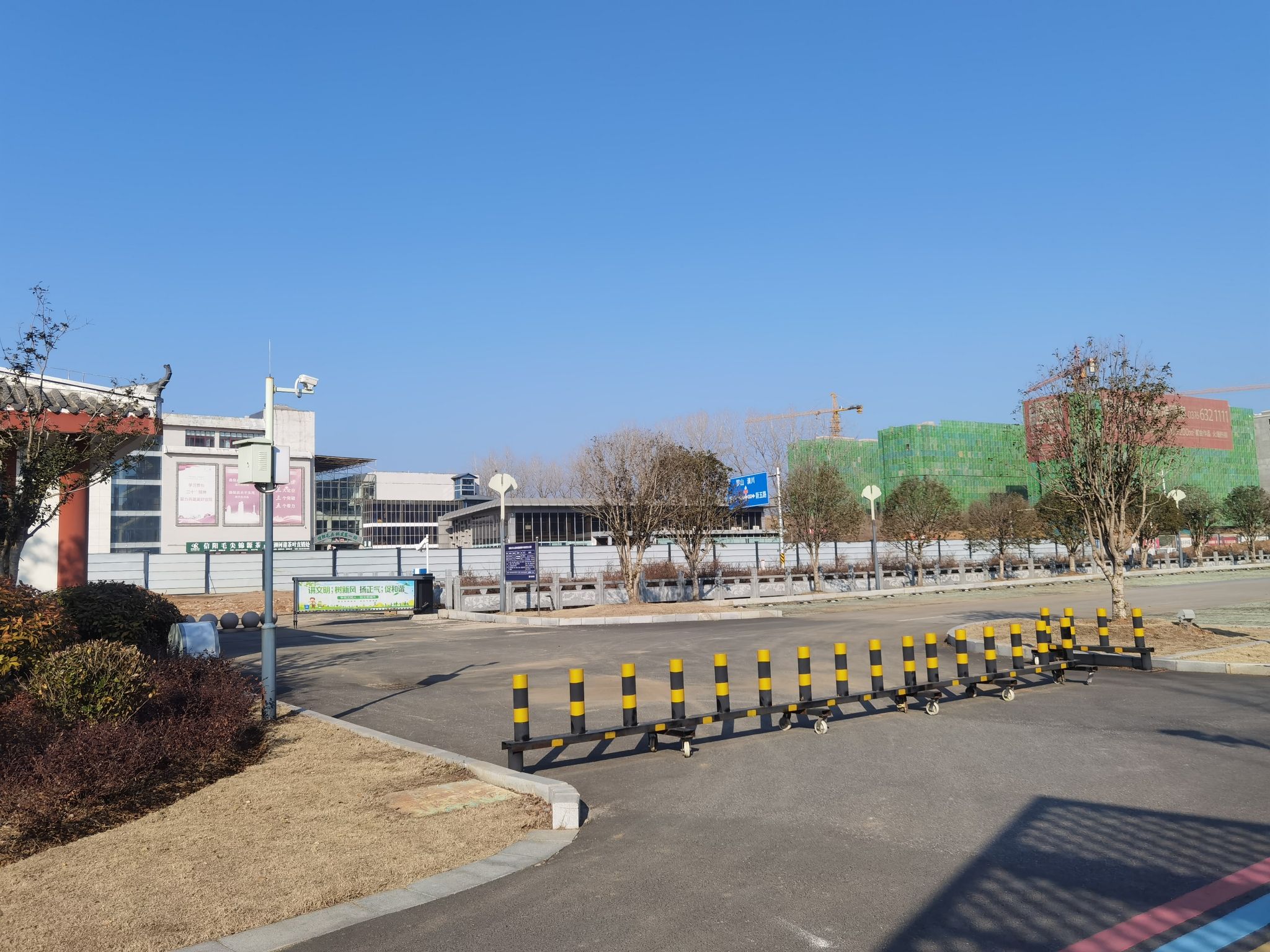 羊山森林植物园旅行图片 2