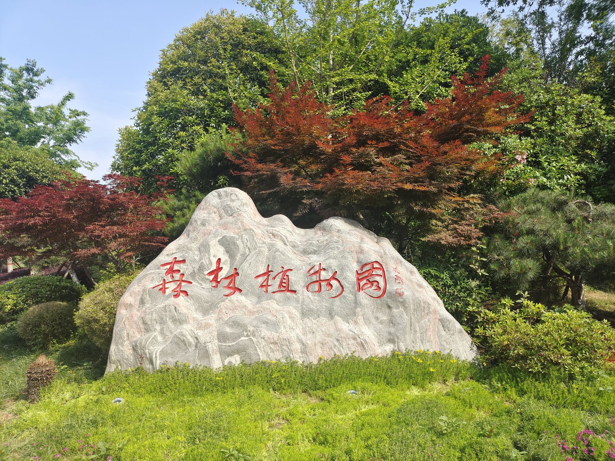 羊山森林植物园旅行图片 1