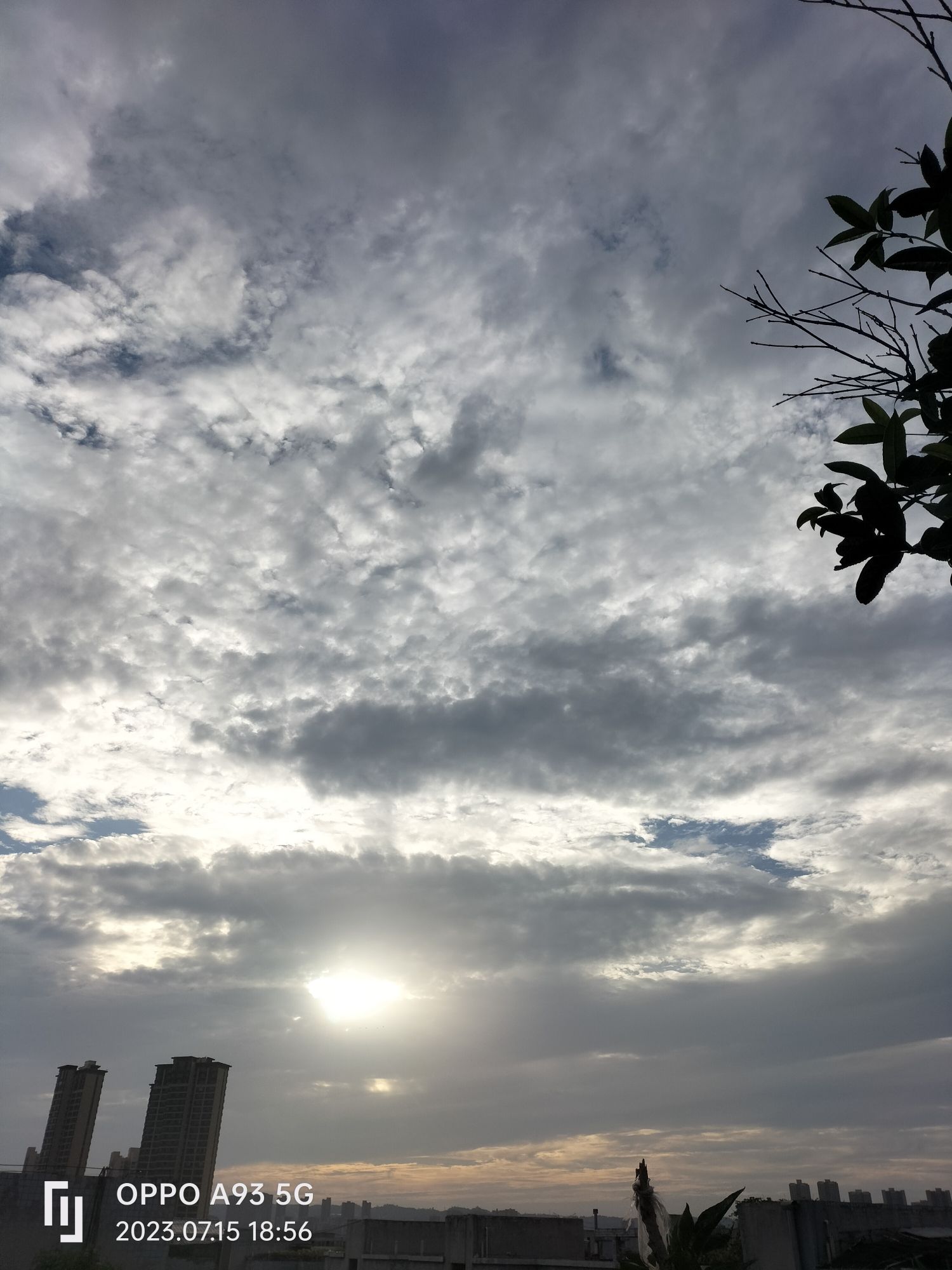 紫陌公园旅行图片 1