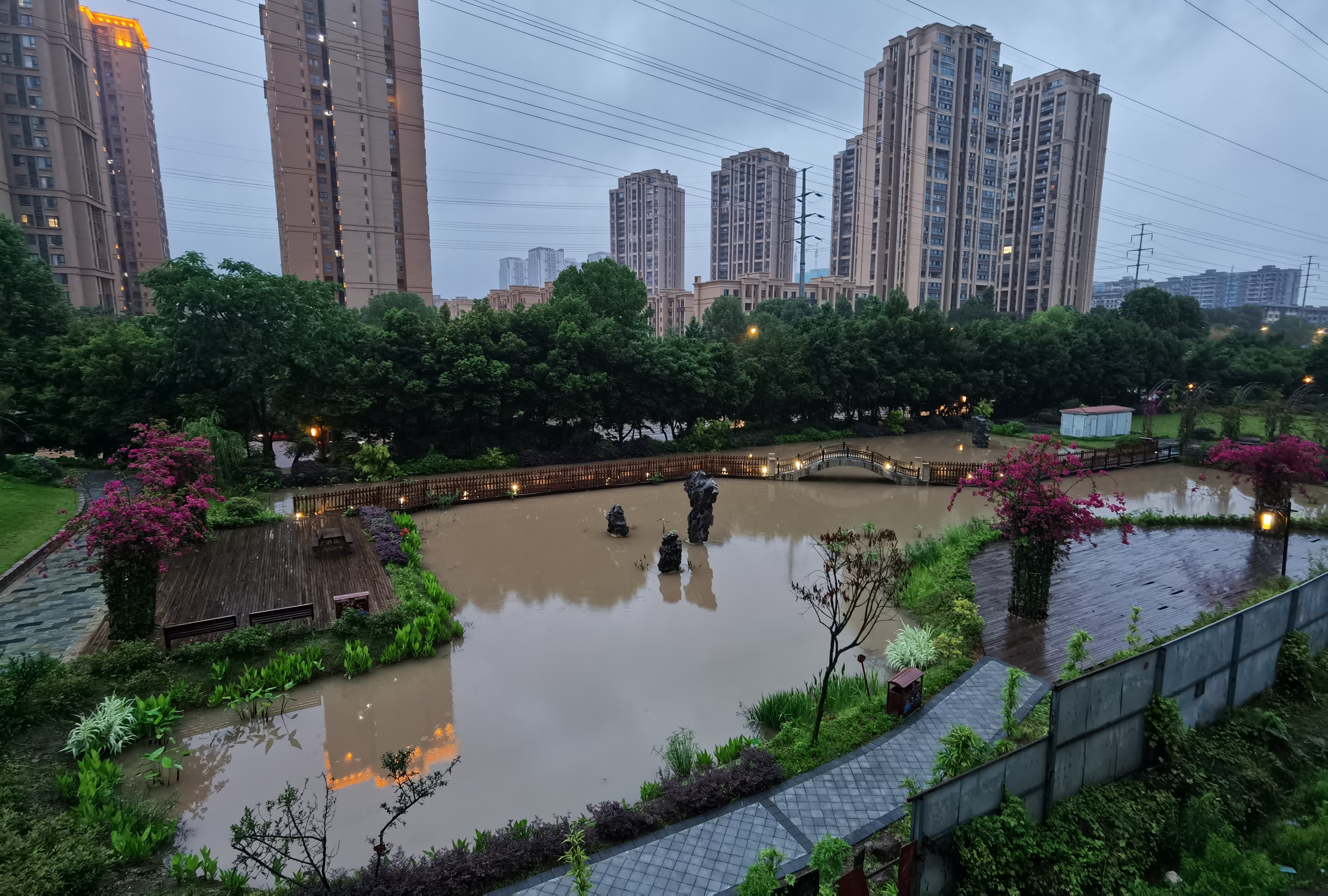 紫陌公园旅行图片 1