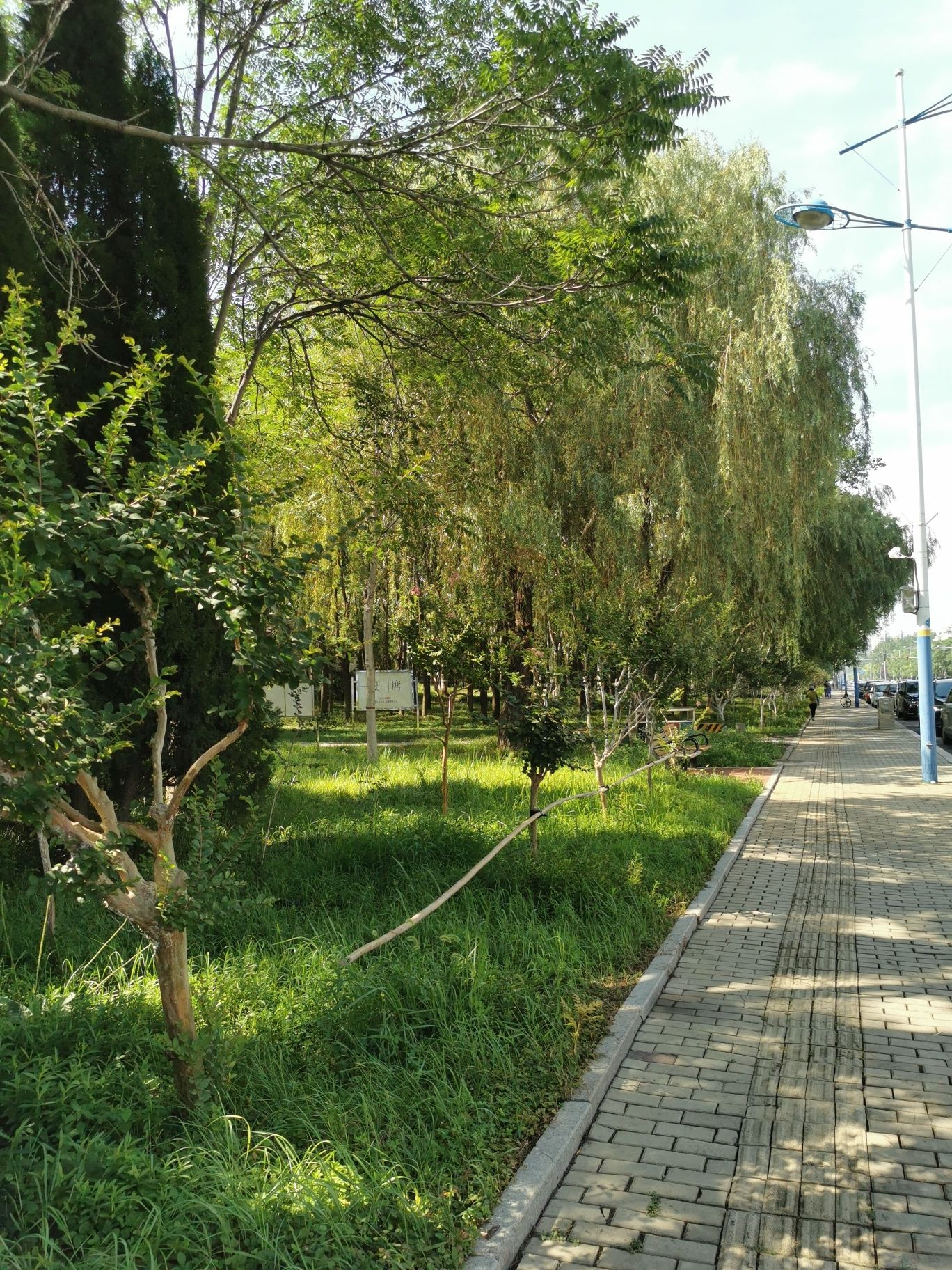 中海风景区旅行图片 2