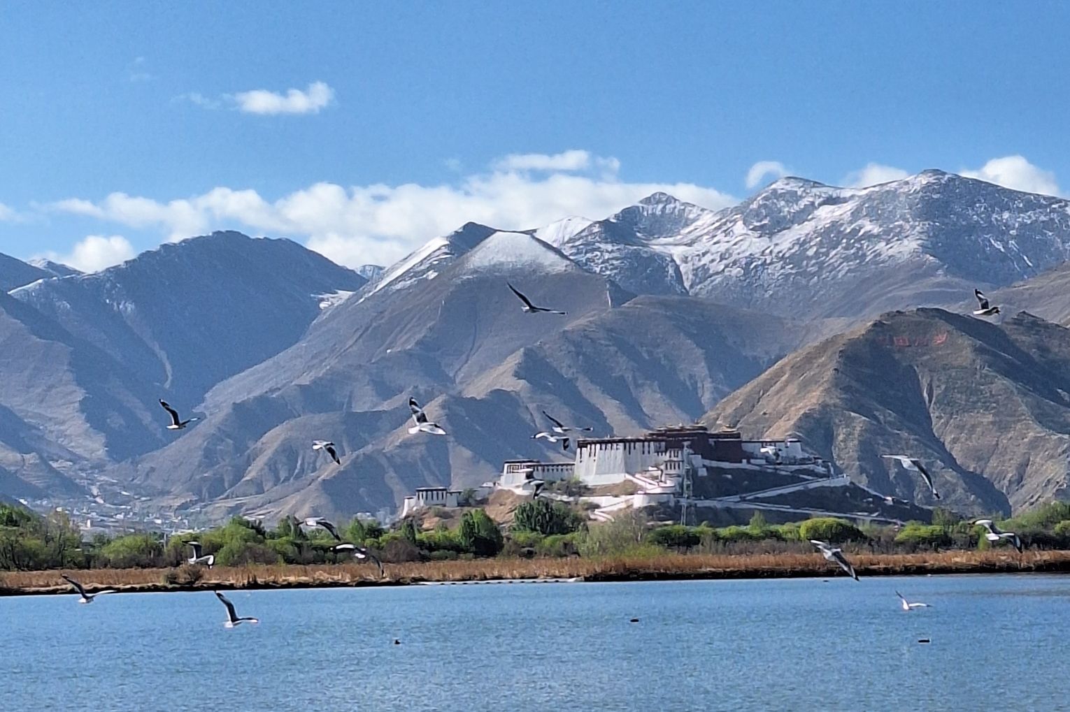 西藏拉萨拉鲁湿地公园