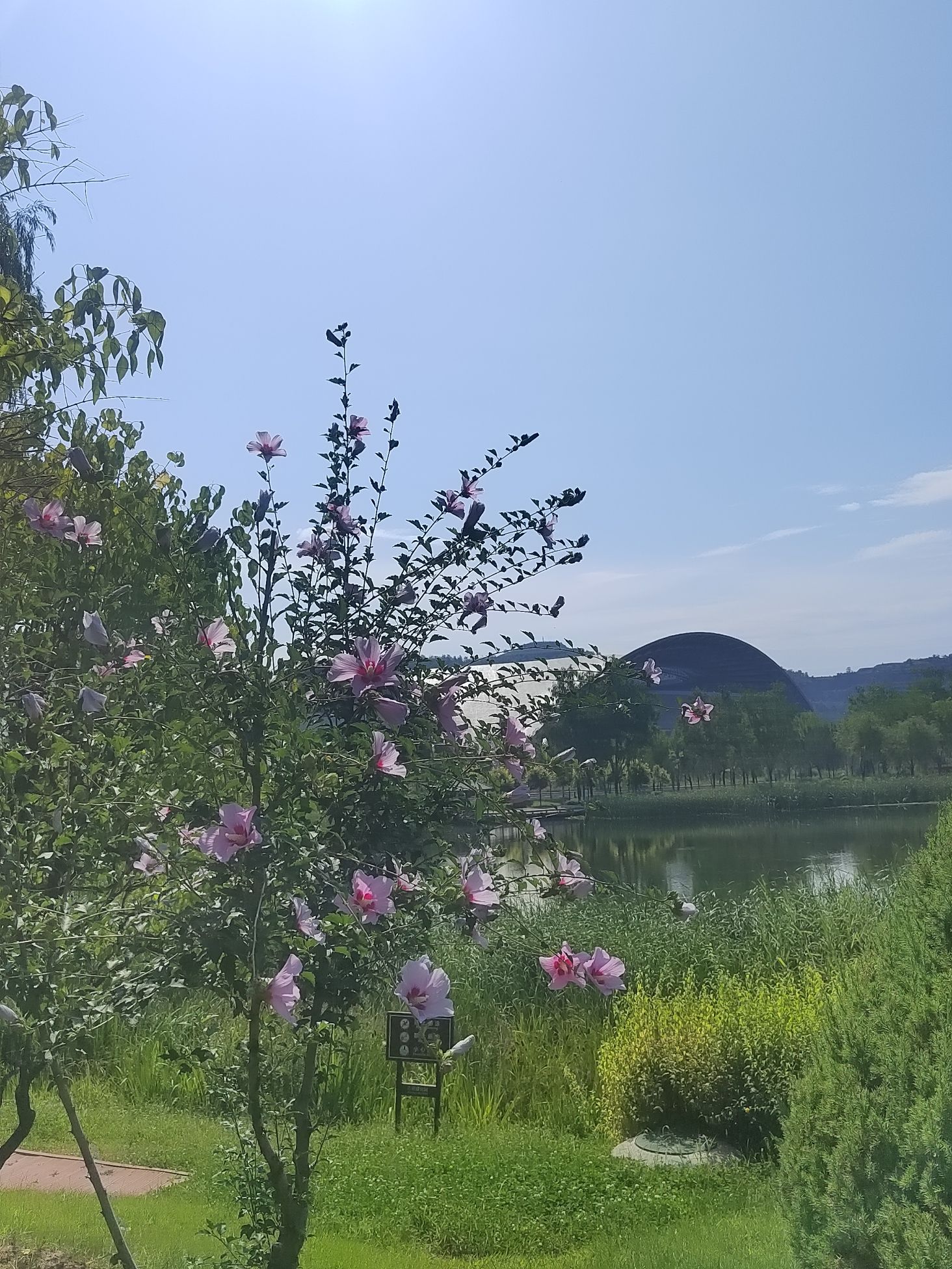 吉祥湖旅行图片 3