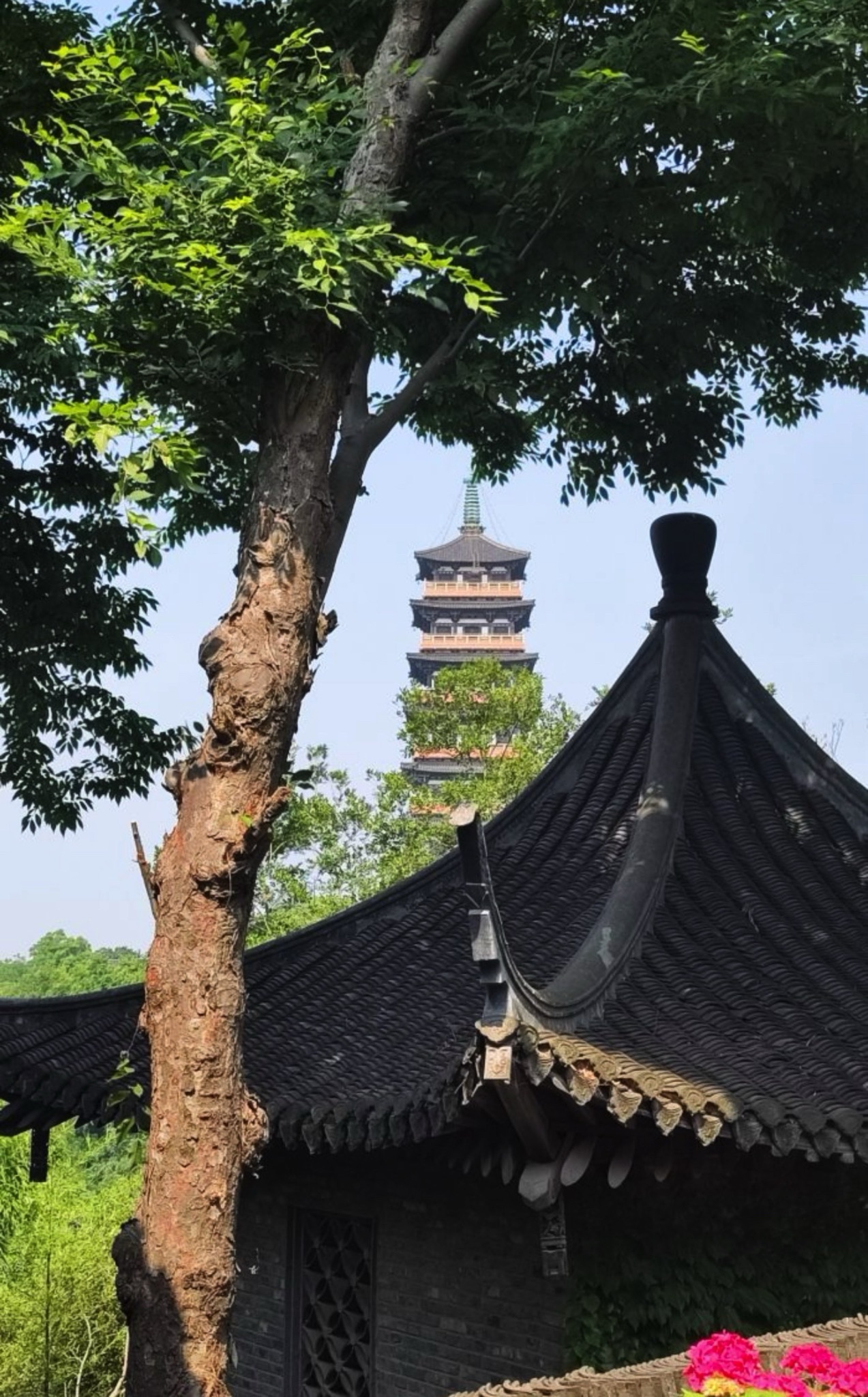 扬州大运河文化旅游度假区旅行图片 1