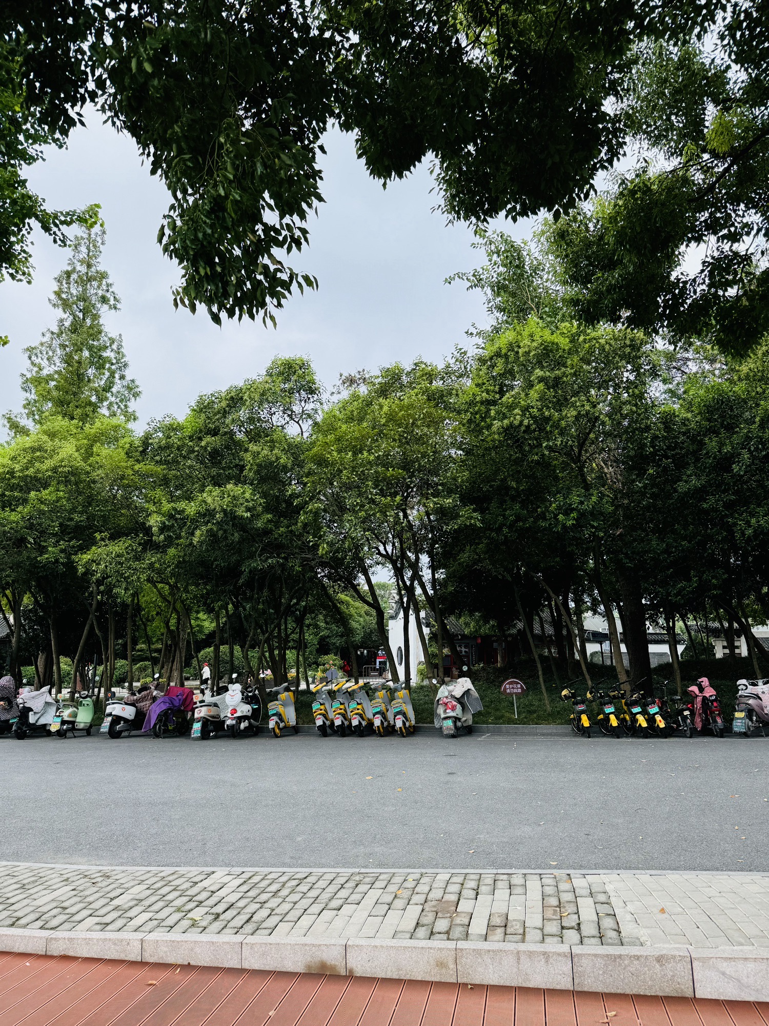 扬州大运河文化旅游度假区旅行图片 2
