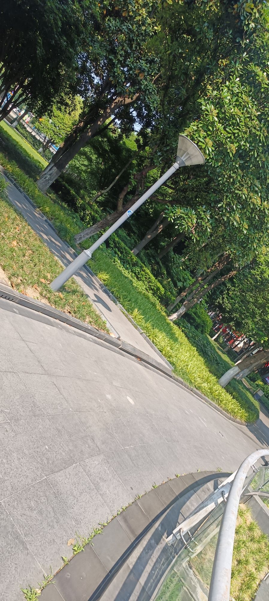 怀德广场旅行图片 2
