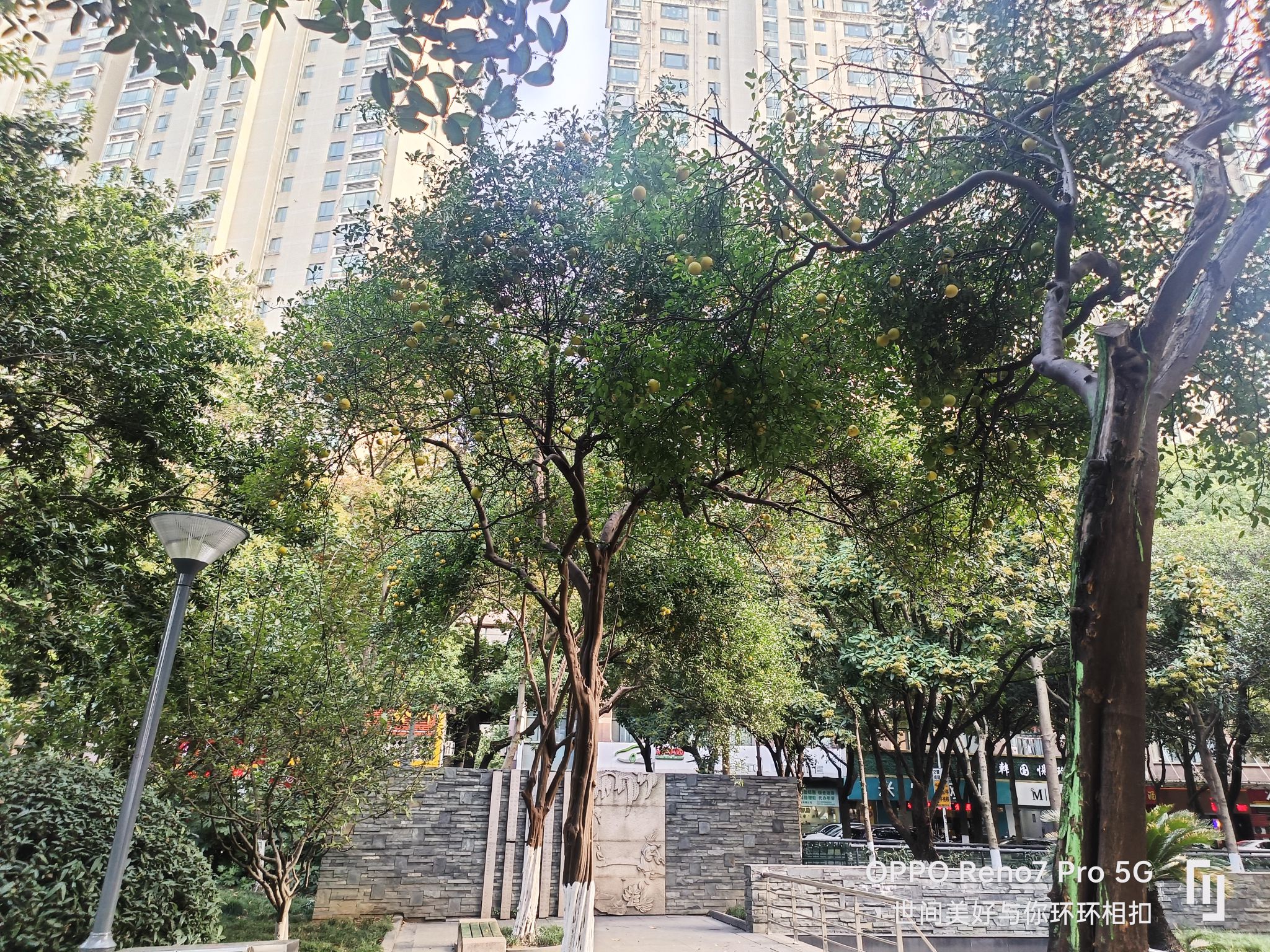 怀德广场旅行图片 2